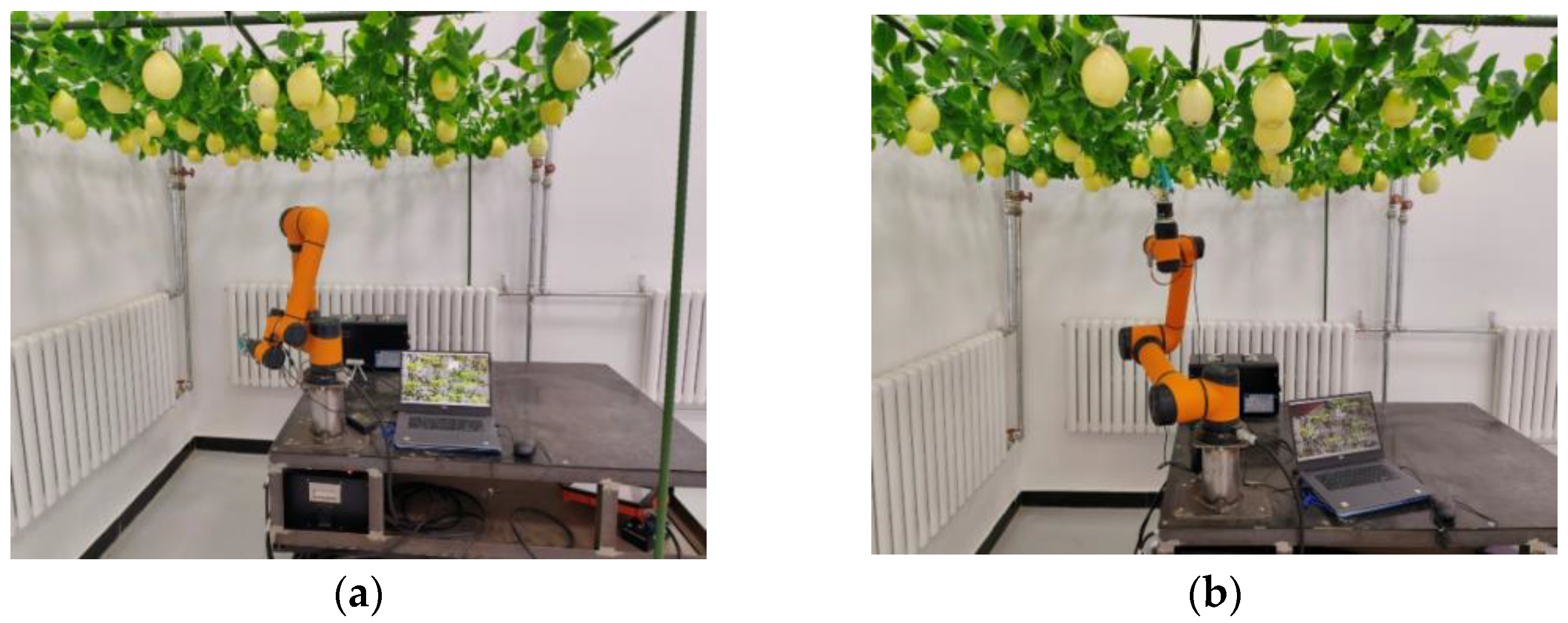 Agronomy 14 00080 g021