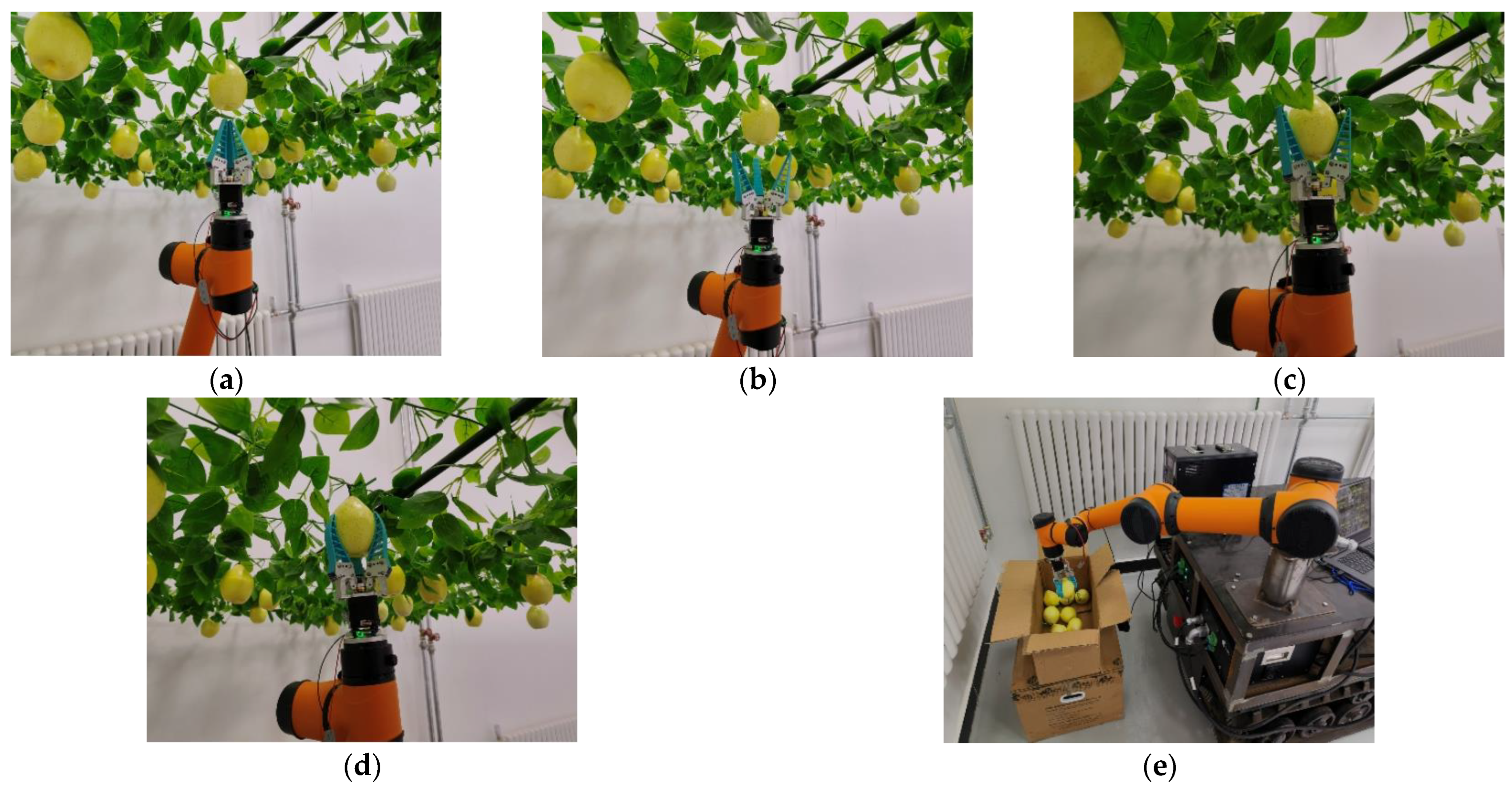 Agronomy 14 00080 g022