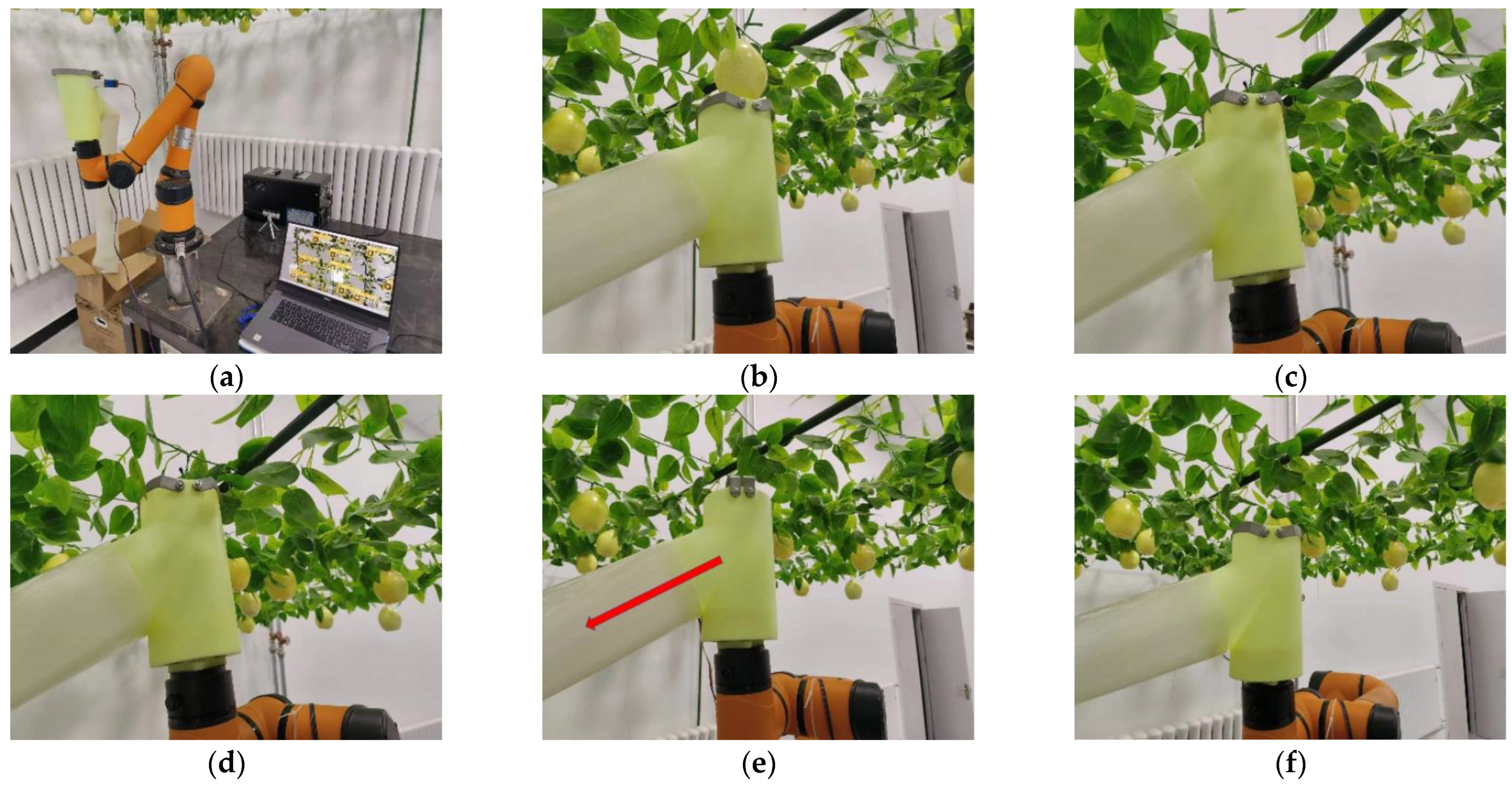 Agronomy 14 00080 g023