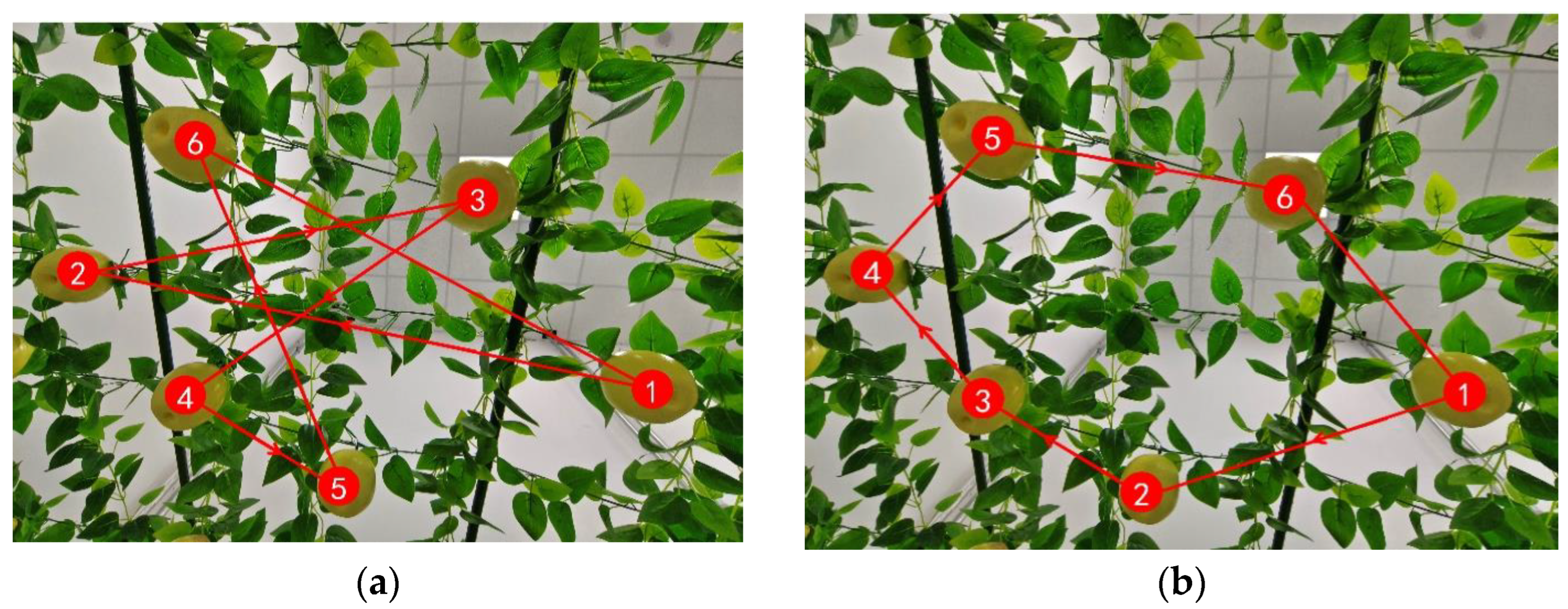 Agronomy 14 00080 g024