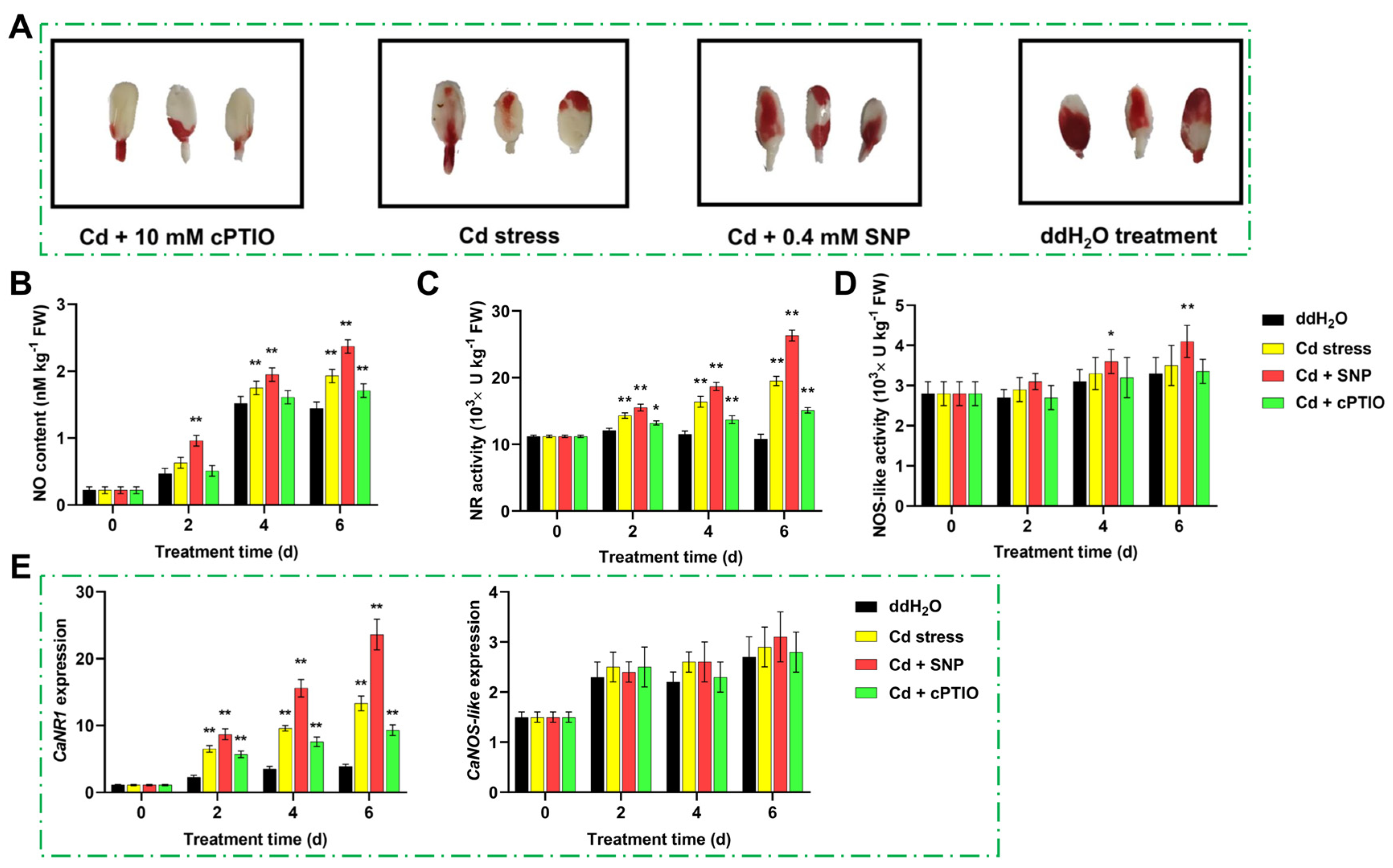 Agronomy 14 00086 g002
