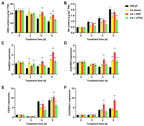 韓国 CD Nitric Oxide Promoted the Seed Germination of Cynanchum