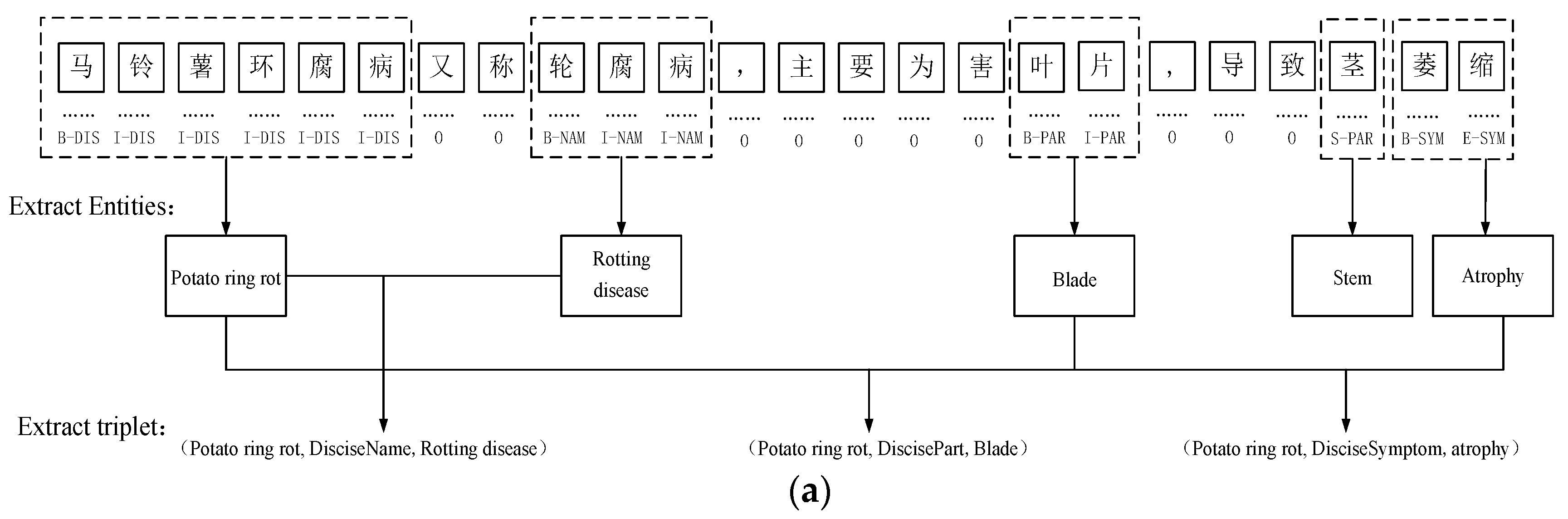 Agronomy 14 00090 g004a