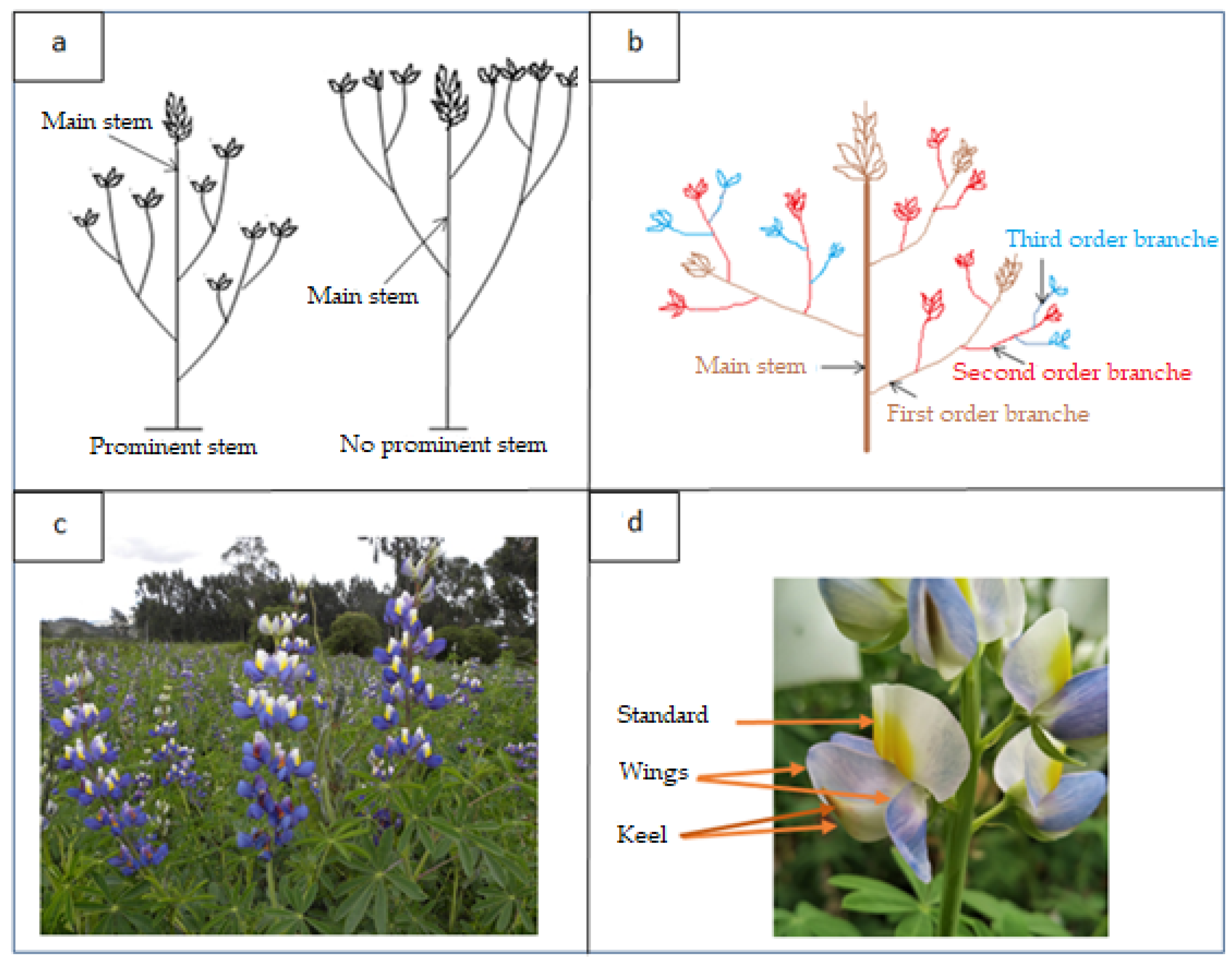 Agronomy 14 00094 g001