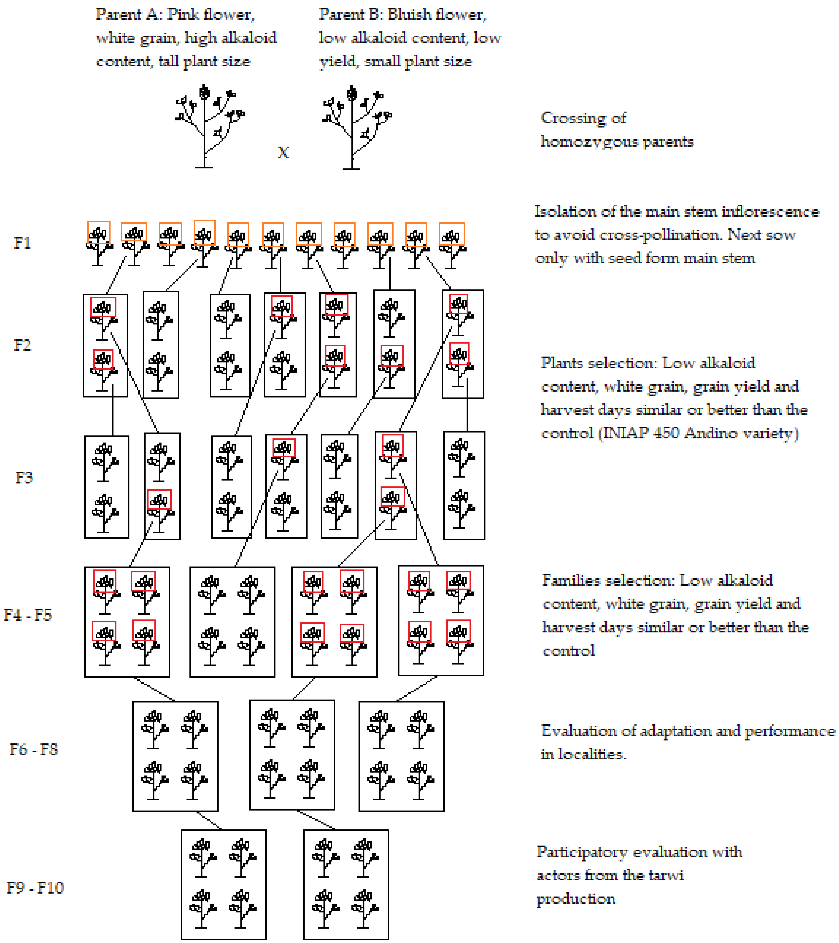 Agronomy 14 00094 g004