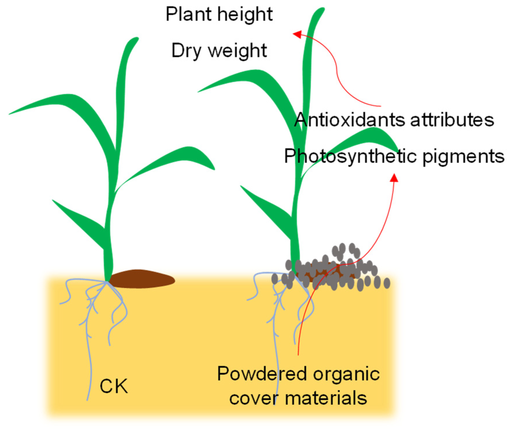 Agronomy 14 00098 g003