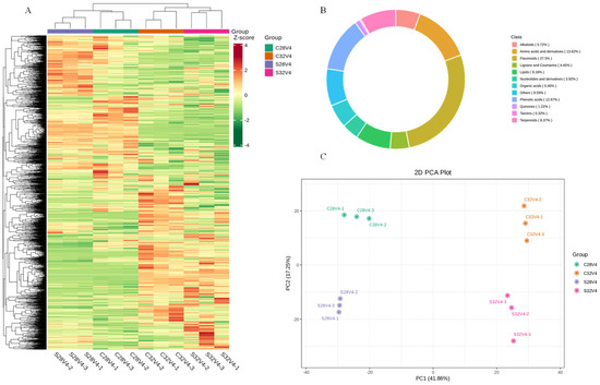 Transcriptome and Metabolome Jointly Revealed the Regulation