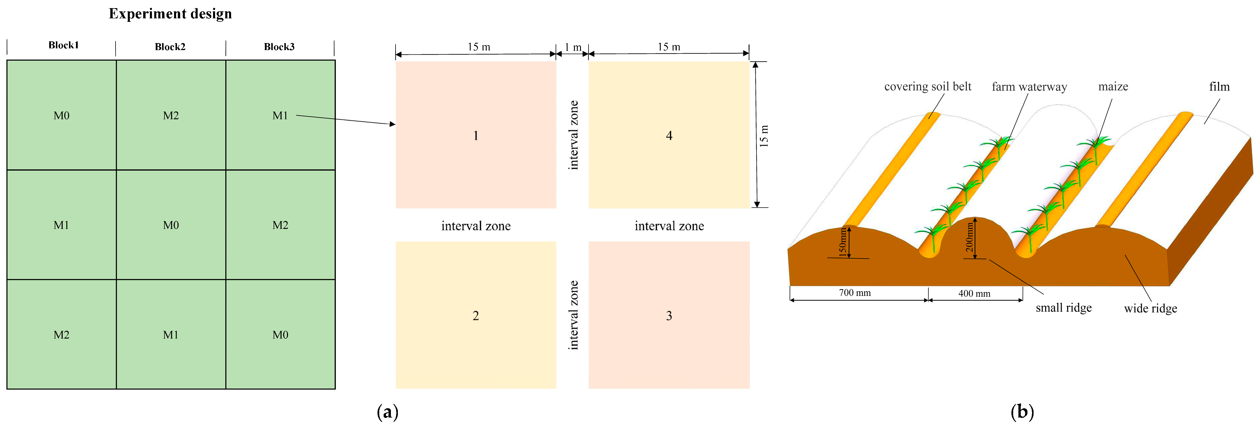 Agronomy 14 00111 g001
