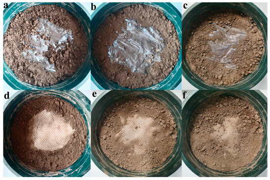 ココア Coffee, tea, and cocoa in obesity prevention: Mechanisms of