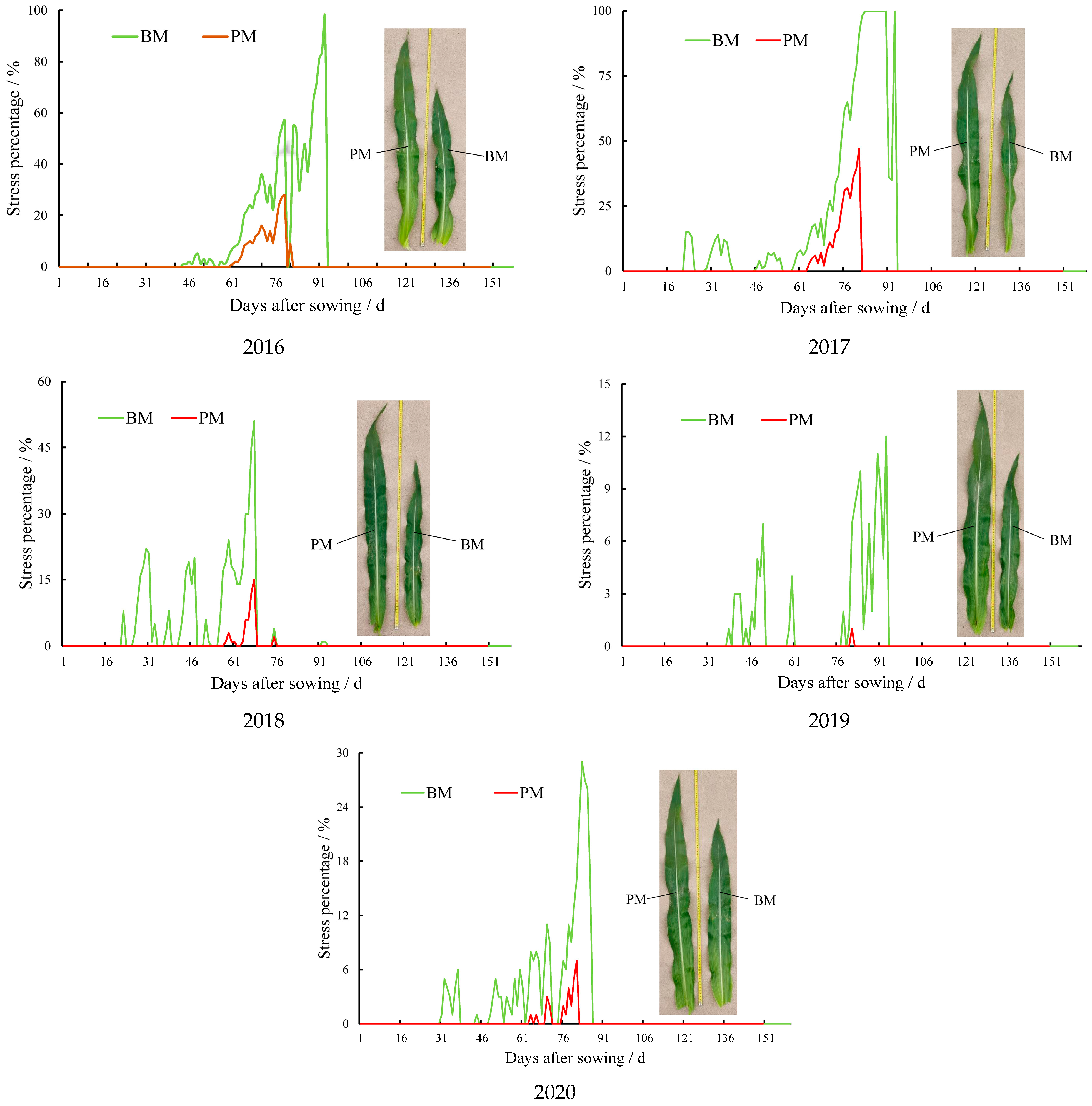 Agronomy 14 00111 g005