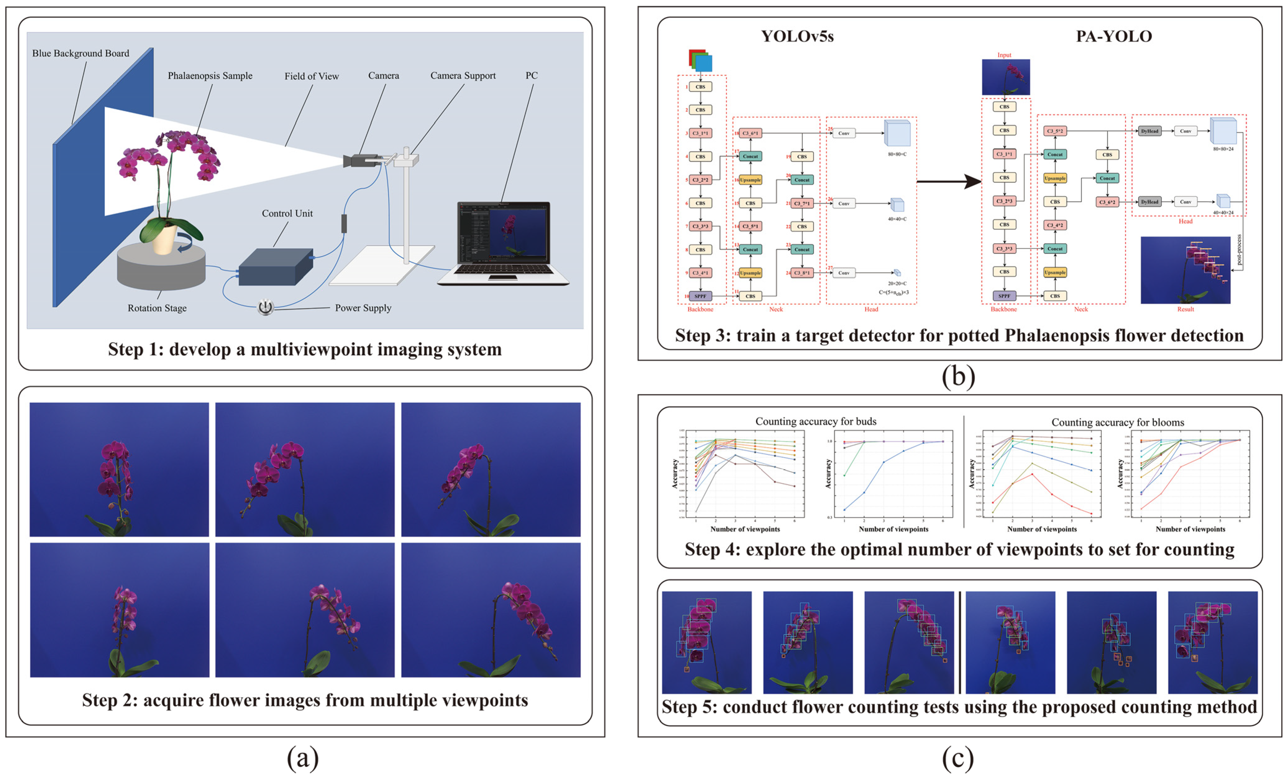 Agronomy 14 00115 g001