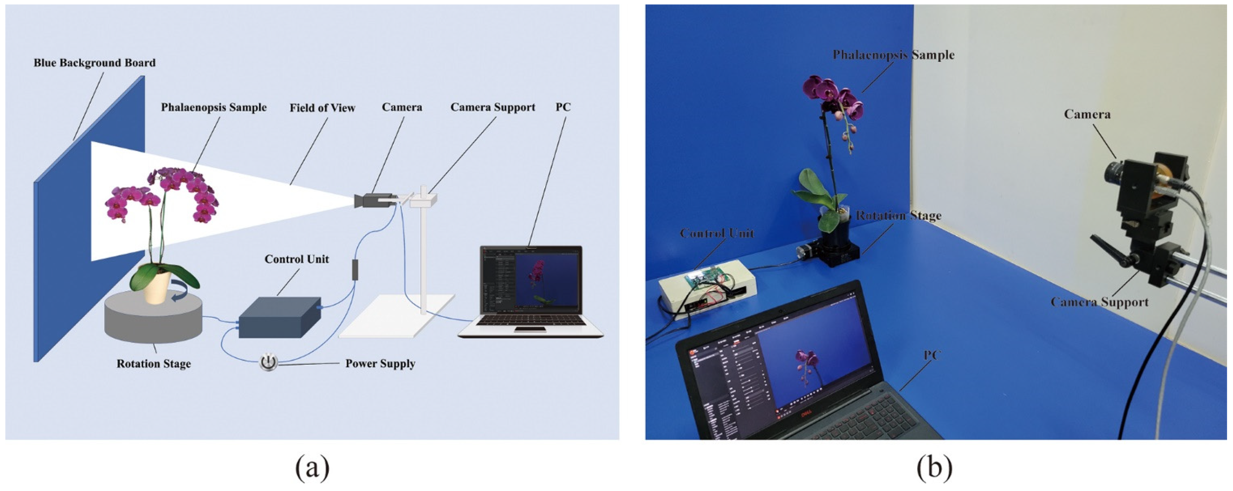 Agronomy 14 00115 g002