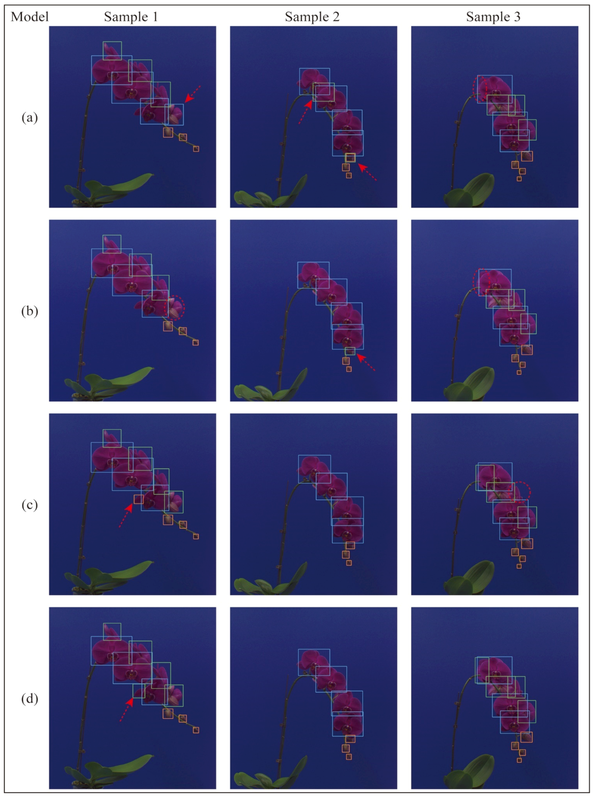 Agronomy 14 00115 g011