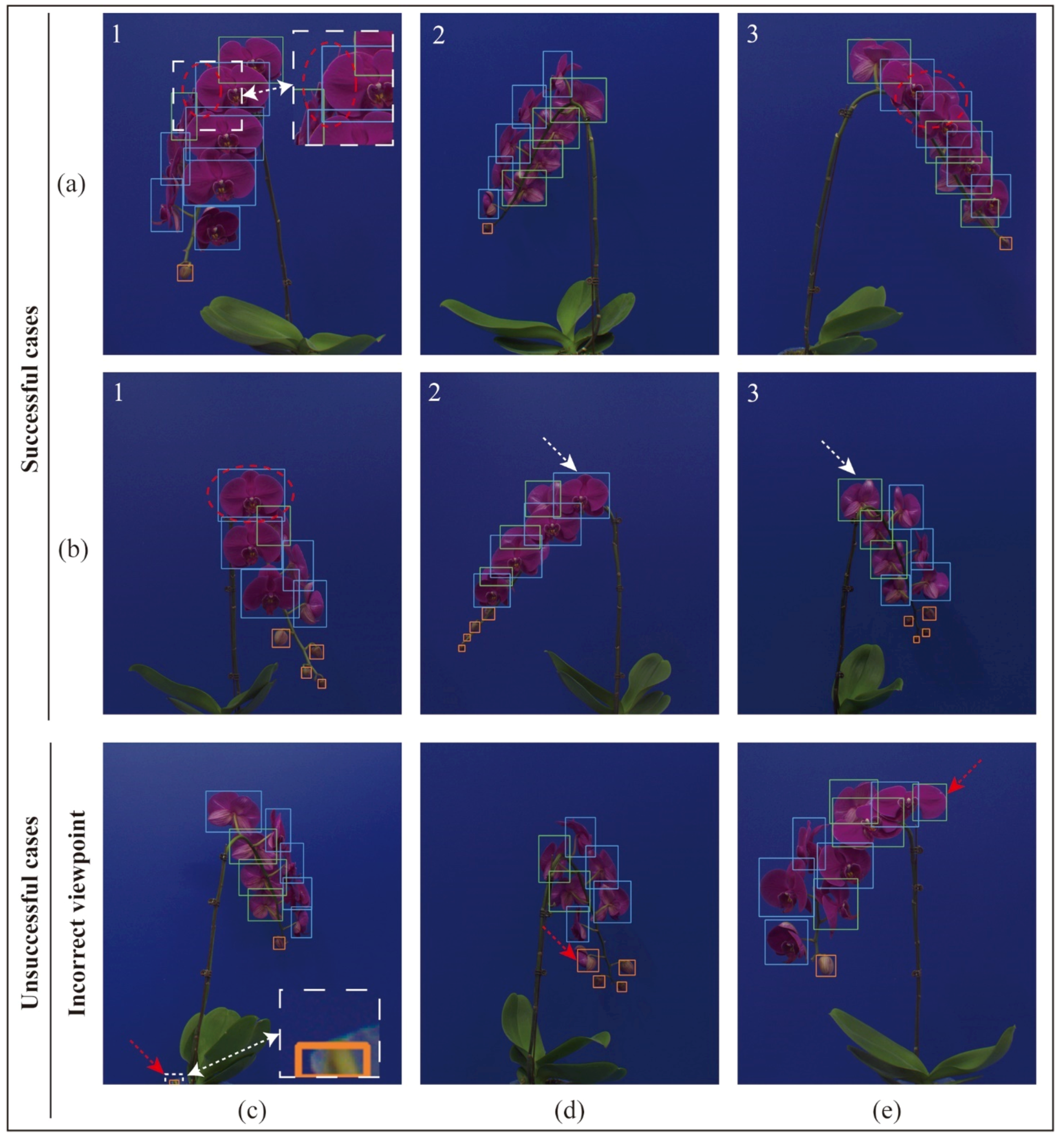 Agronomy 14 00115 g014