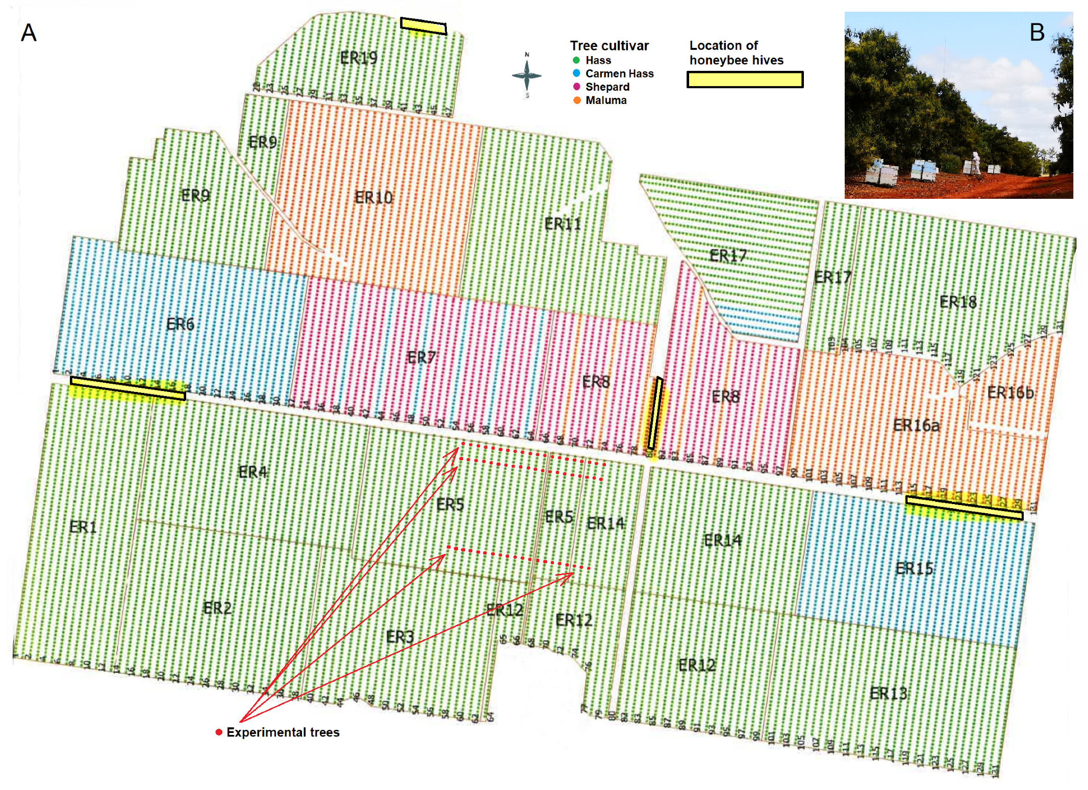 Agronomy 14 00122 g001