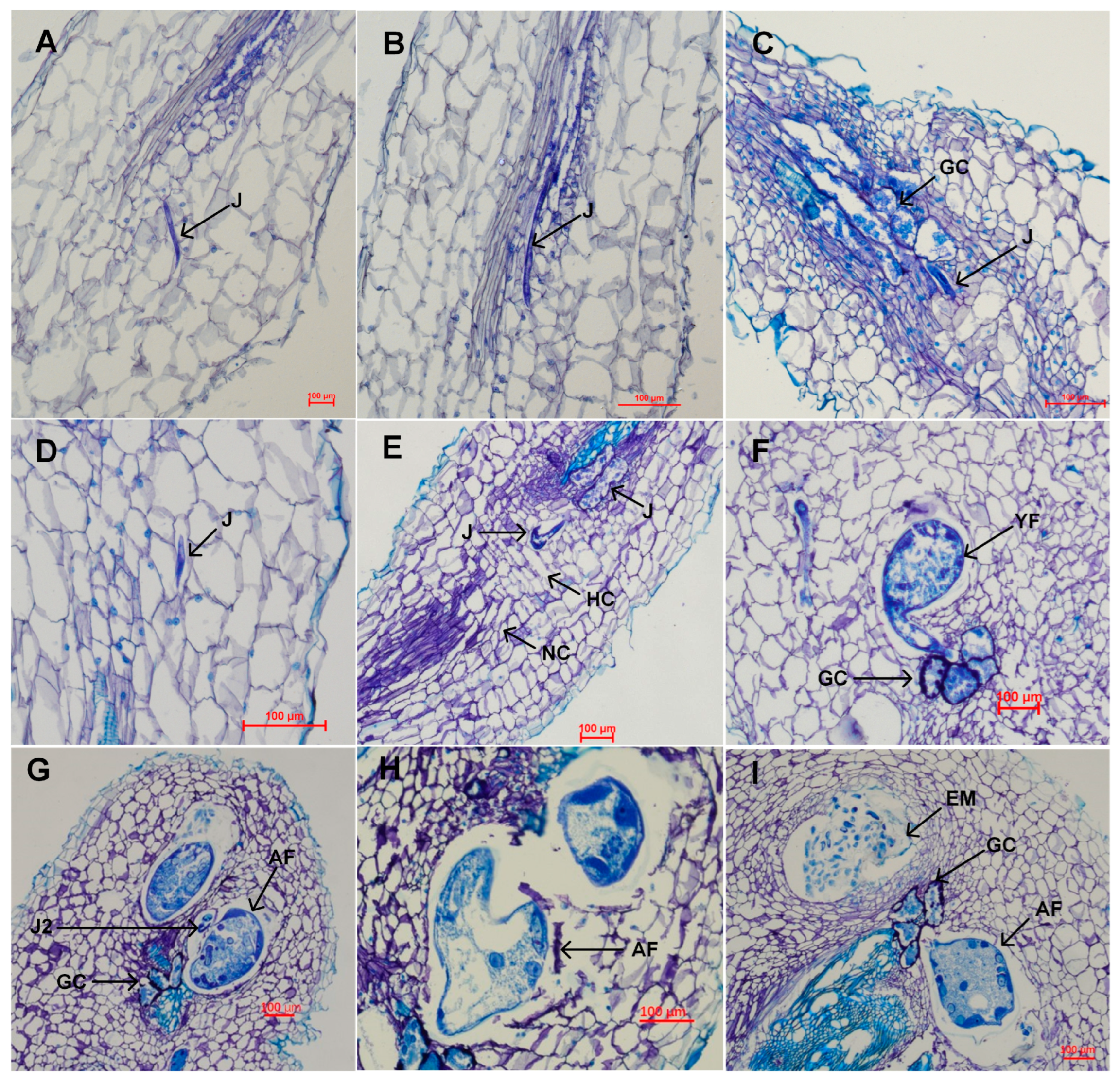 Agronomy 14 00129 g006