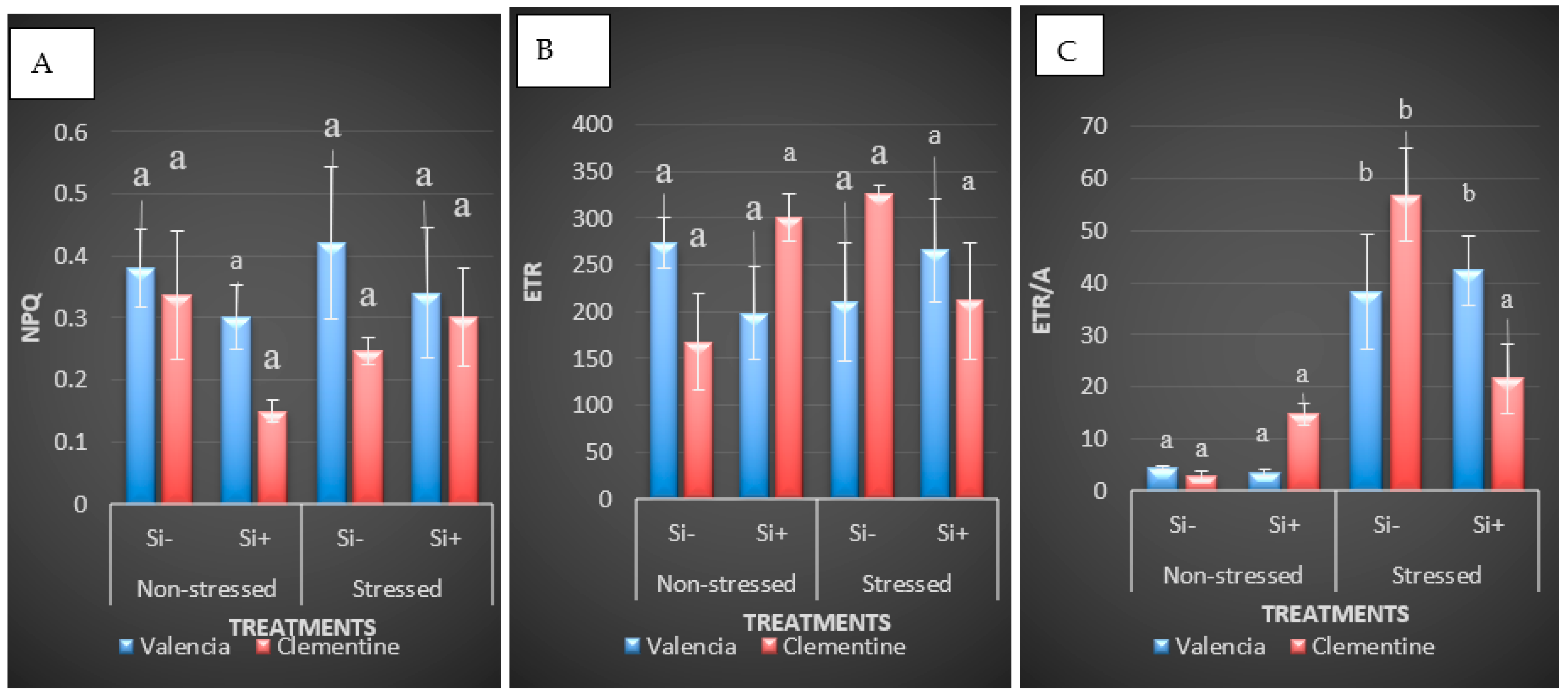 Agronomy 14 00139 g002