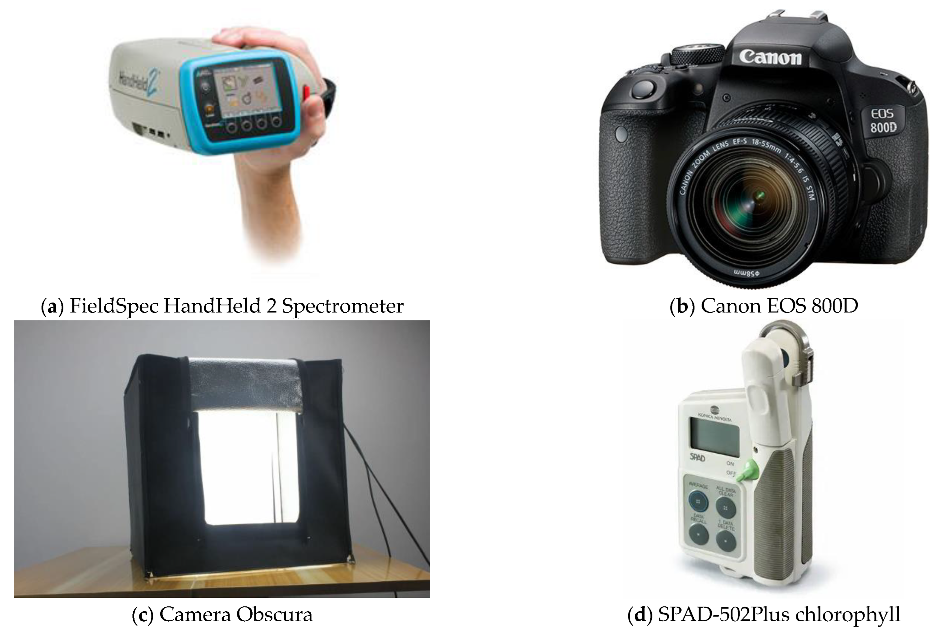 Agronomy 14 00140 g002