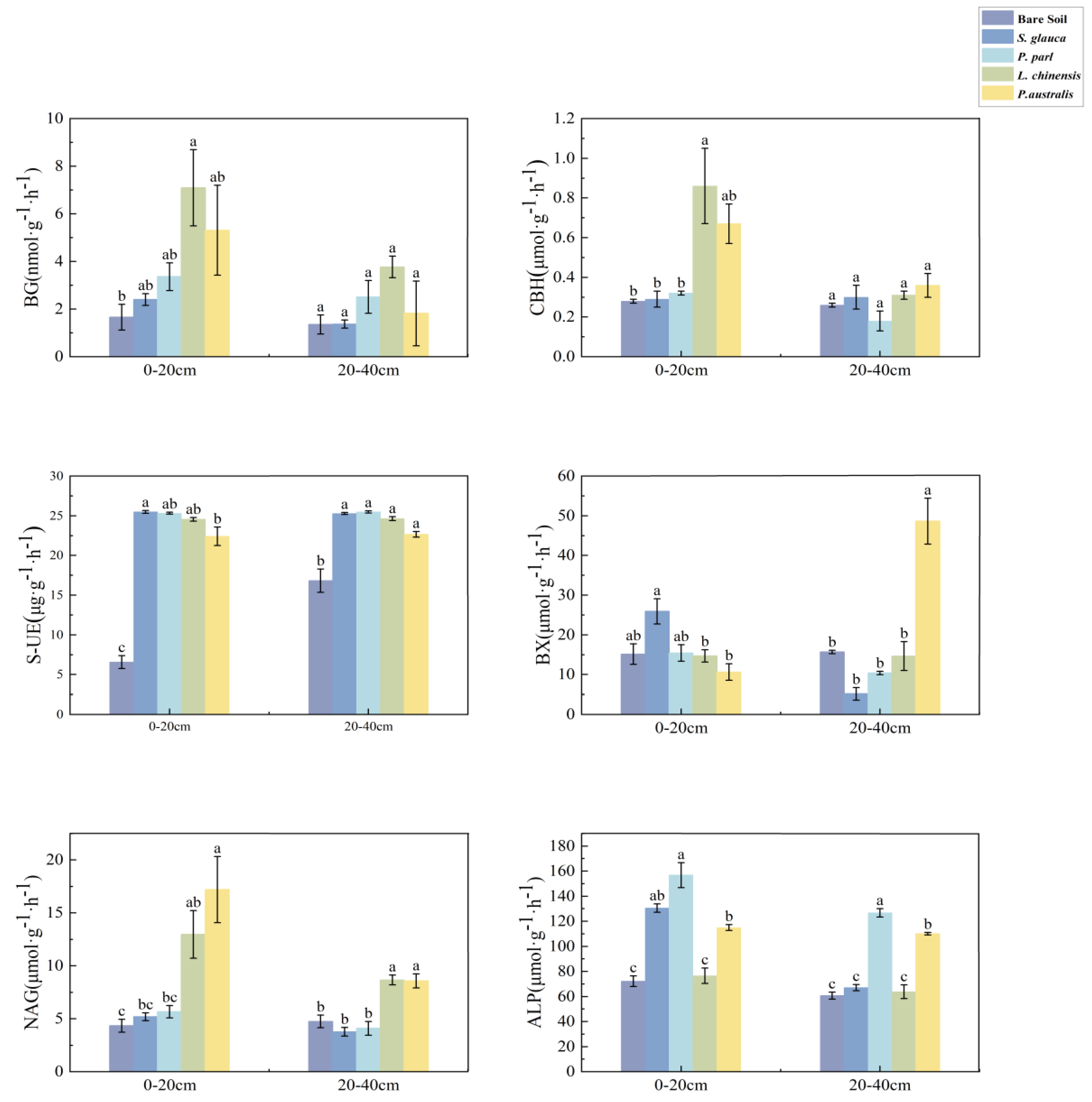 Agronomy 14 00141 g001