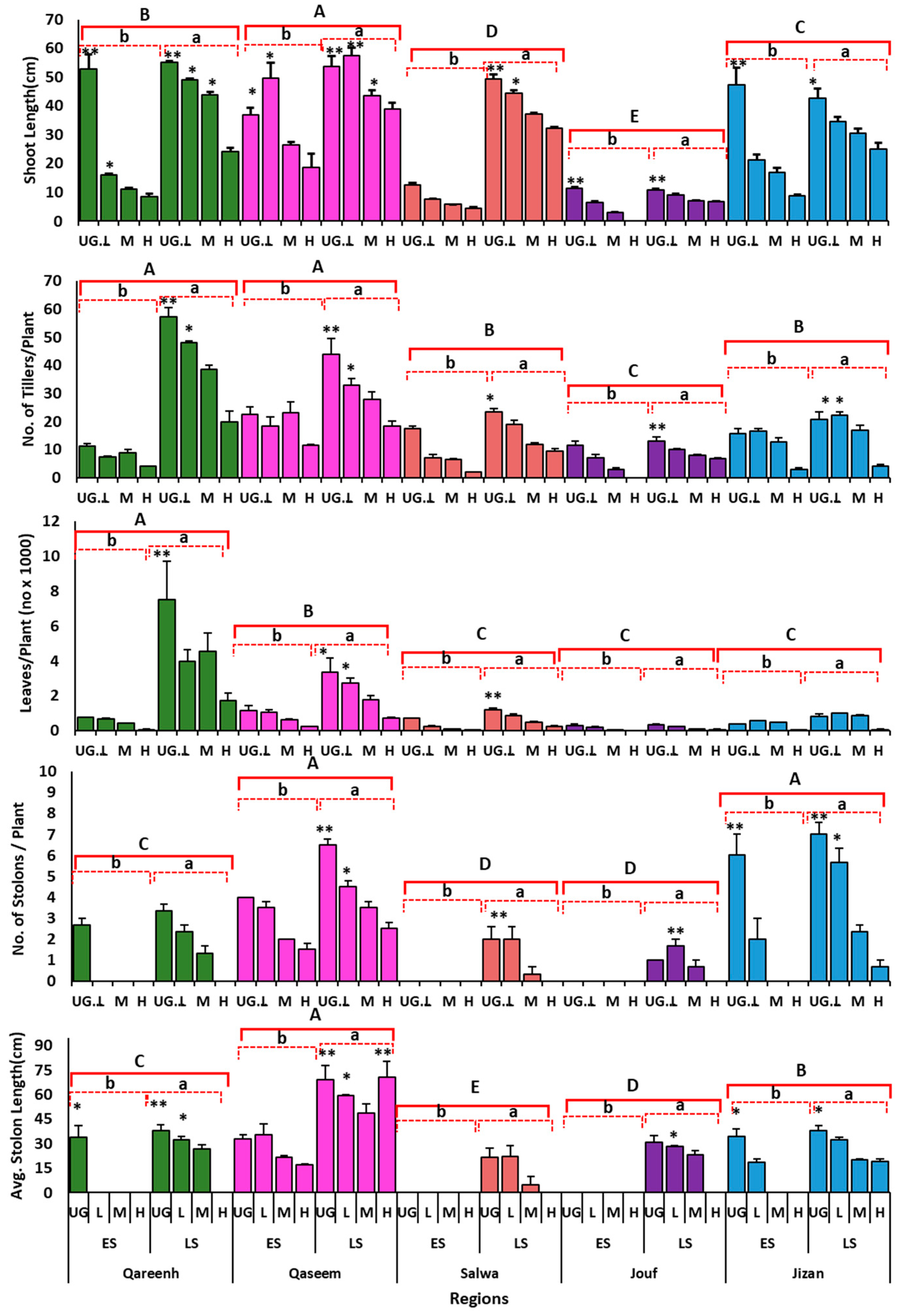 Agronomy 14 00144 g001