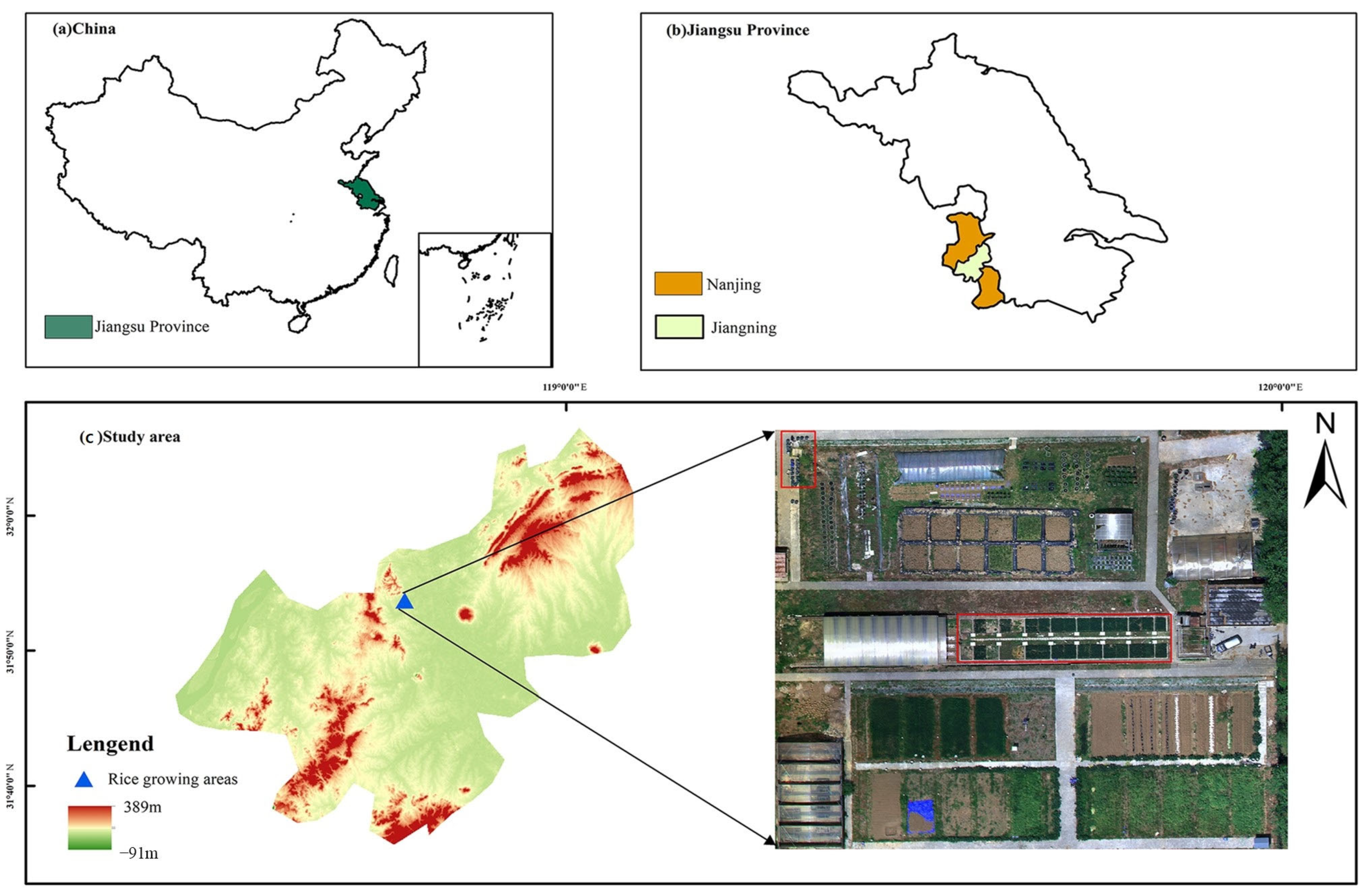 Agronomy 14 00145 g001