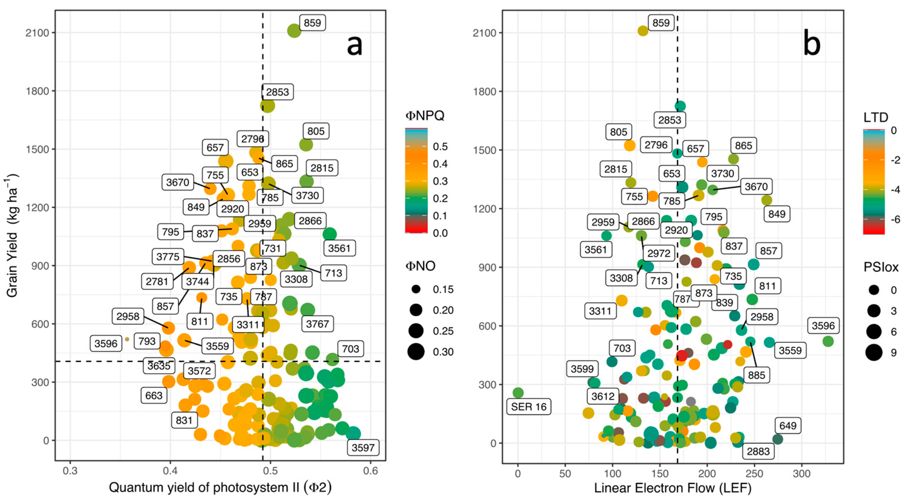 Agronomy 14 00154 g003