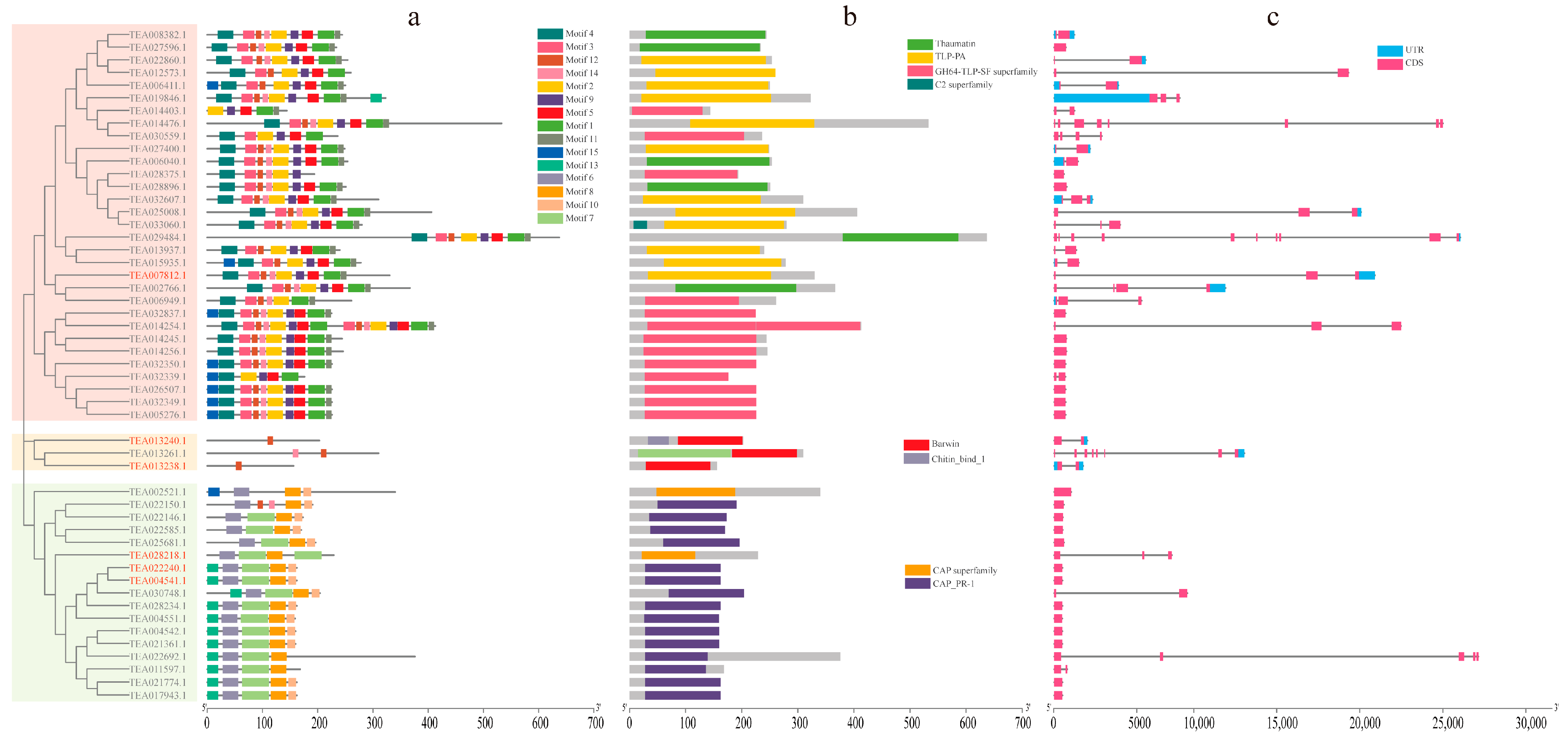 Agronomy 14 00156 g004 Agronomy 14 00156 g004