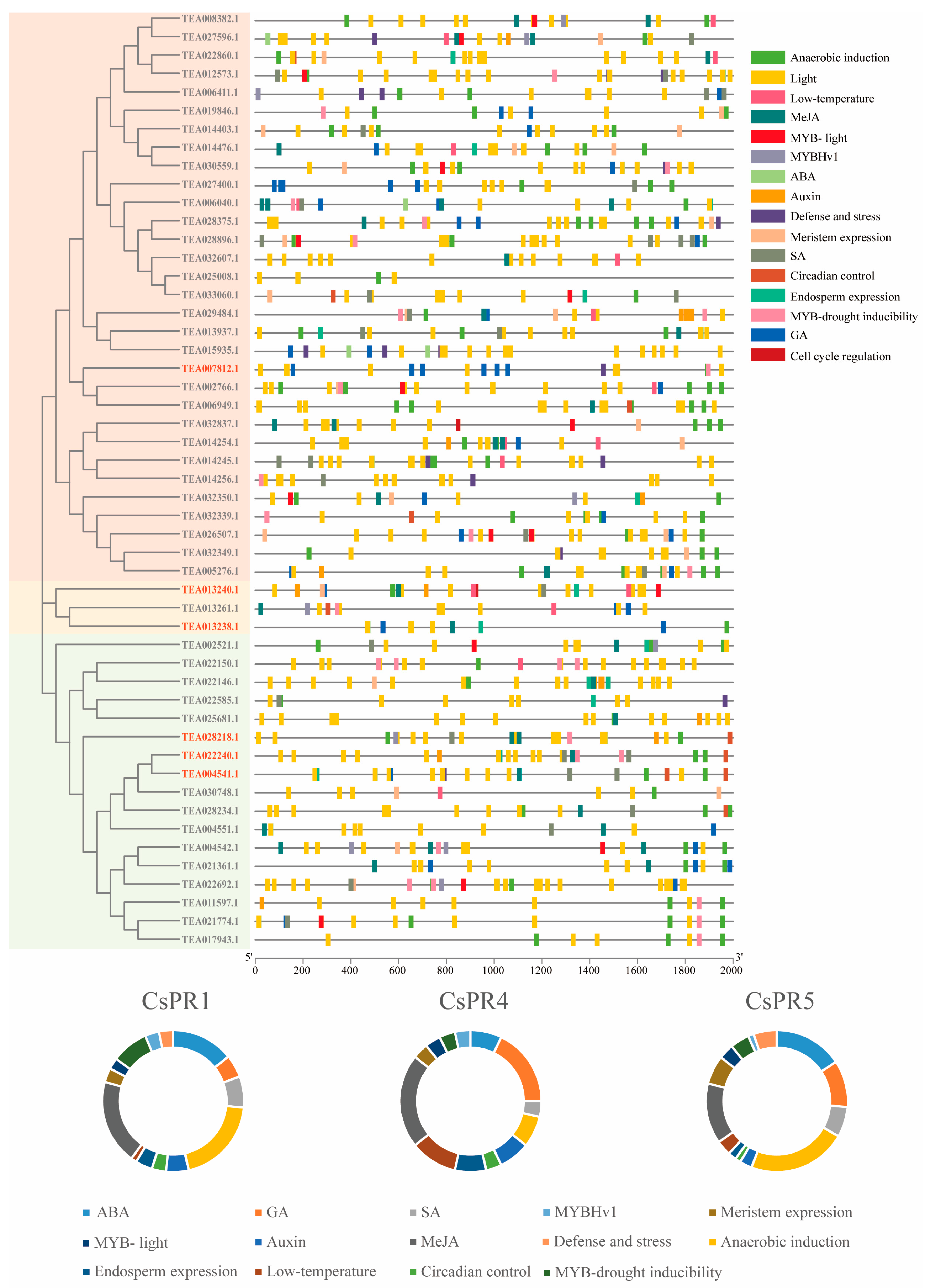Agronomy 14 00156 g005 Agronomy 14 00156 g005