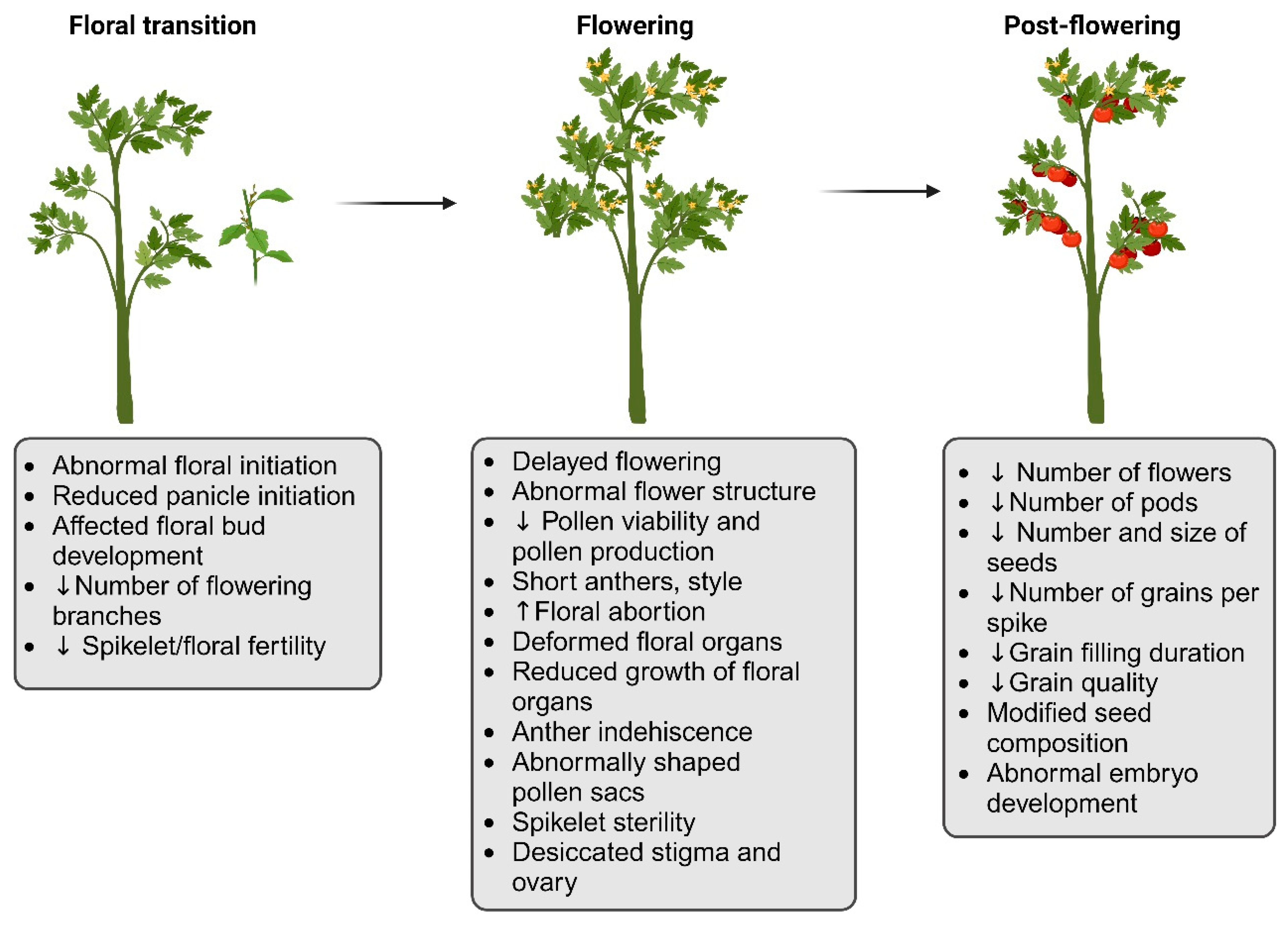 Agronomy 14 00159 g001