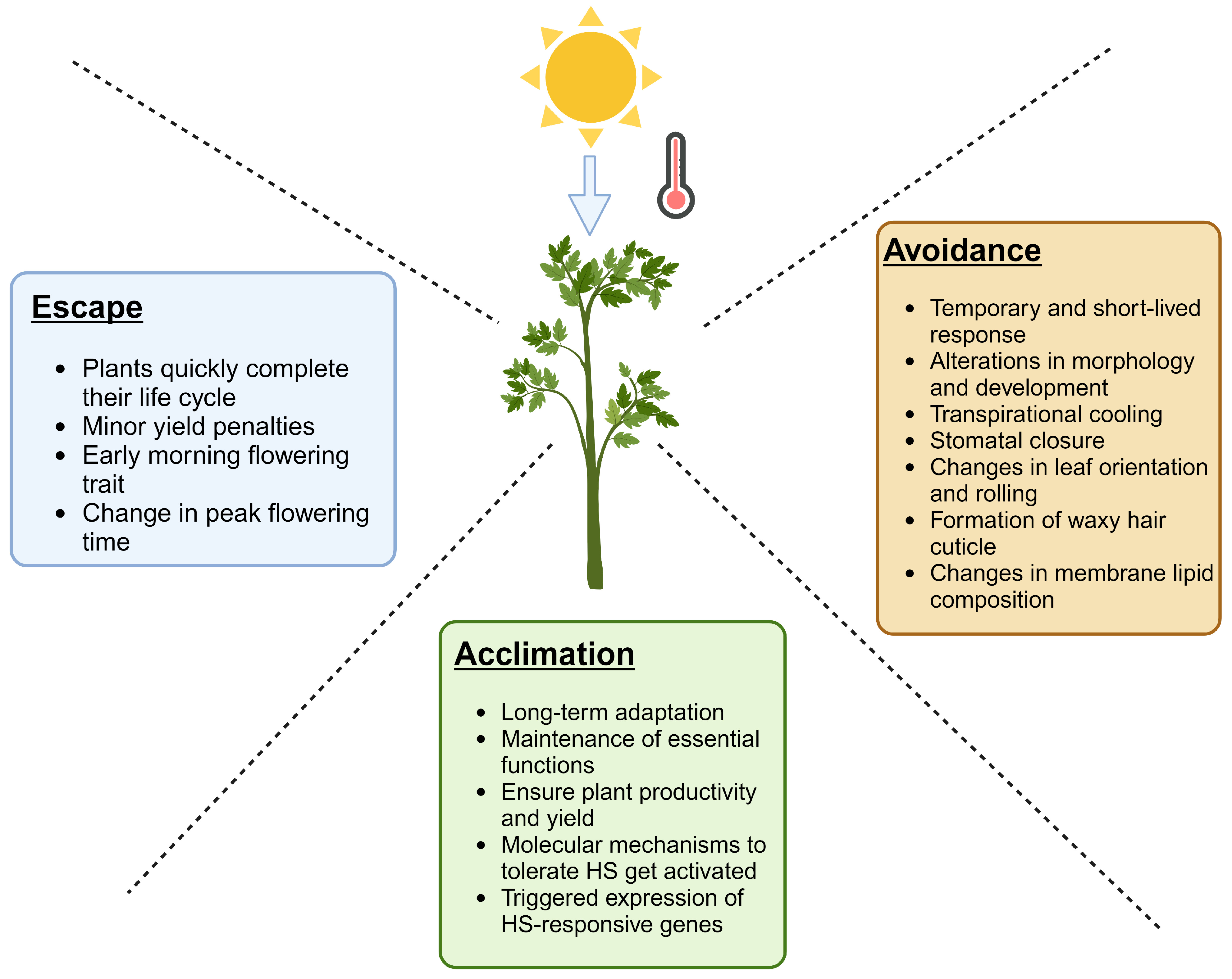 Agronomy 14 00159 g002