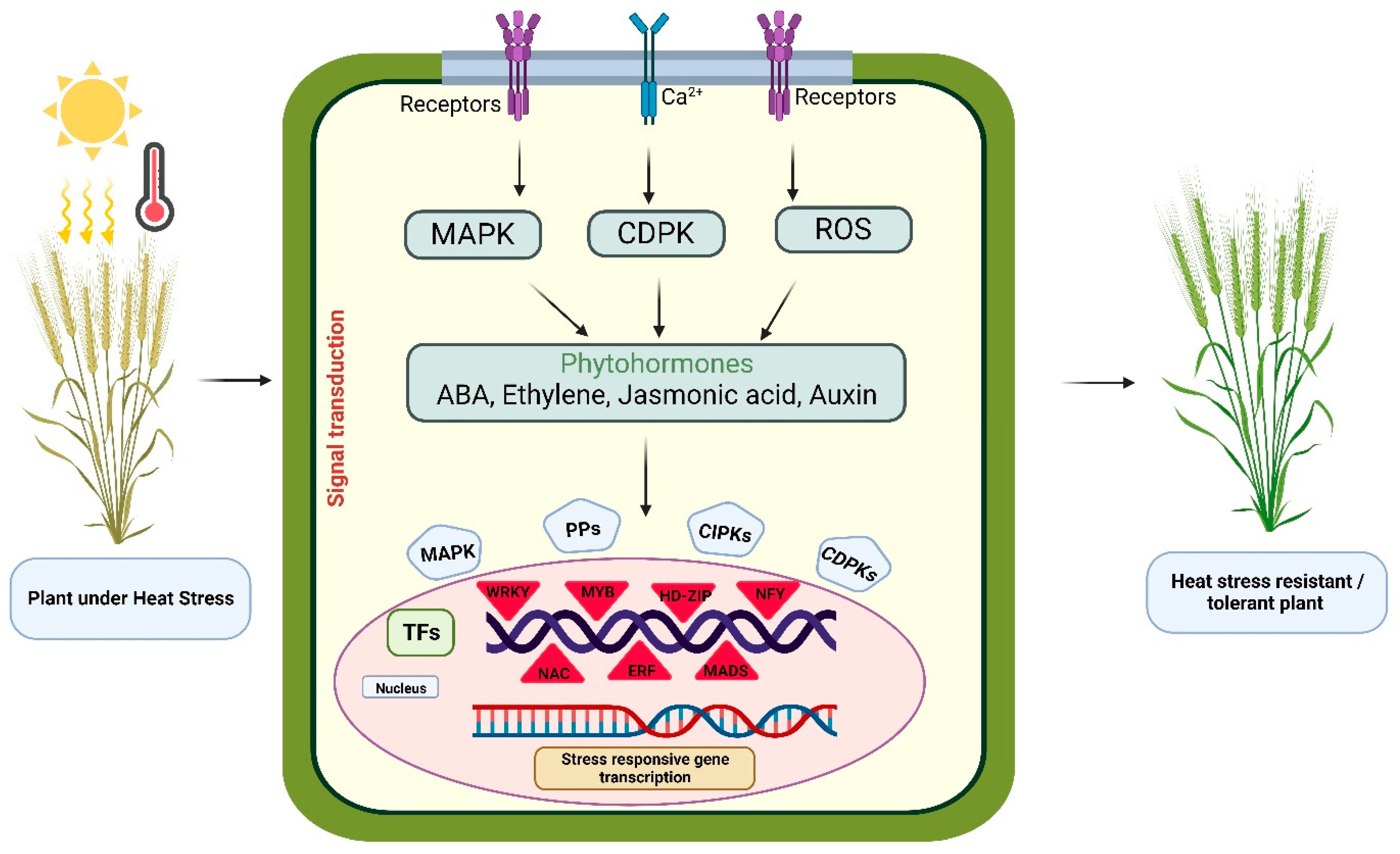 Agronomy 14 00159 g003