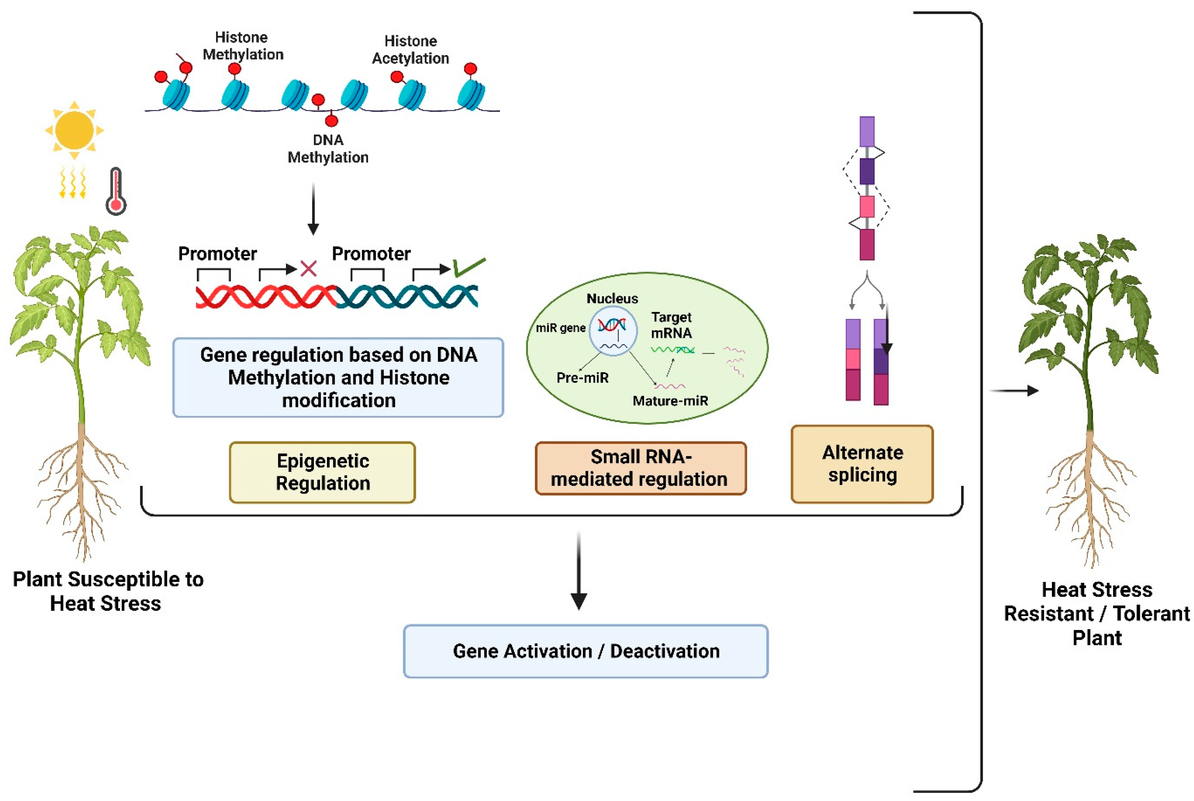 Agronomy 14 00159 g004