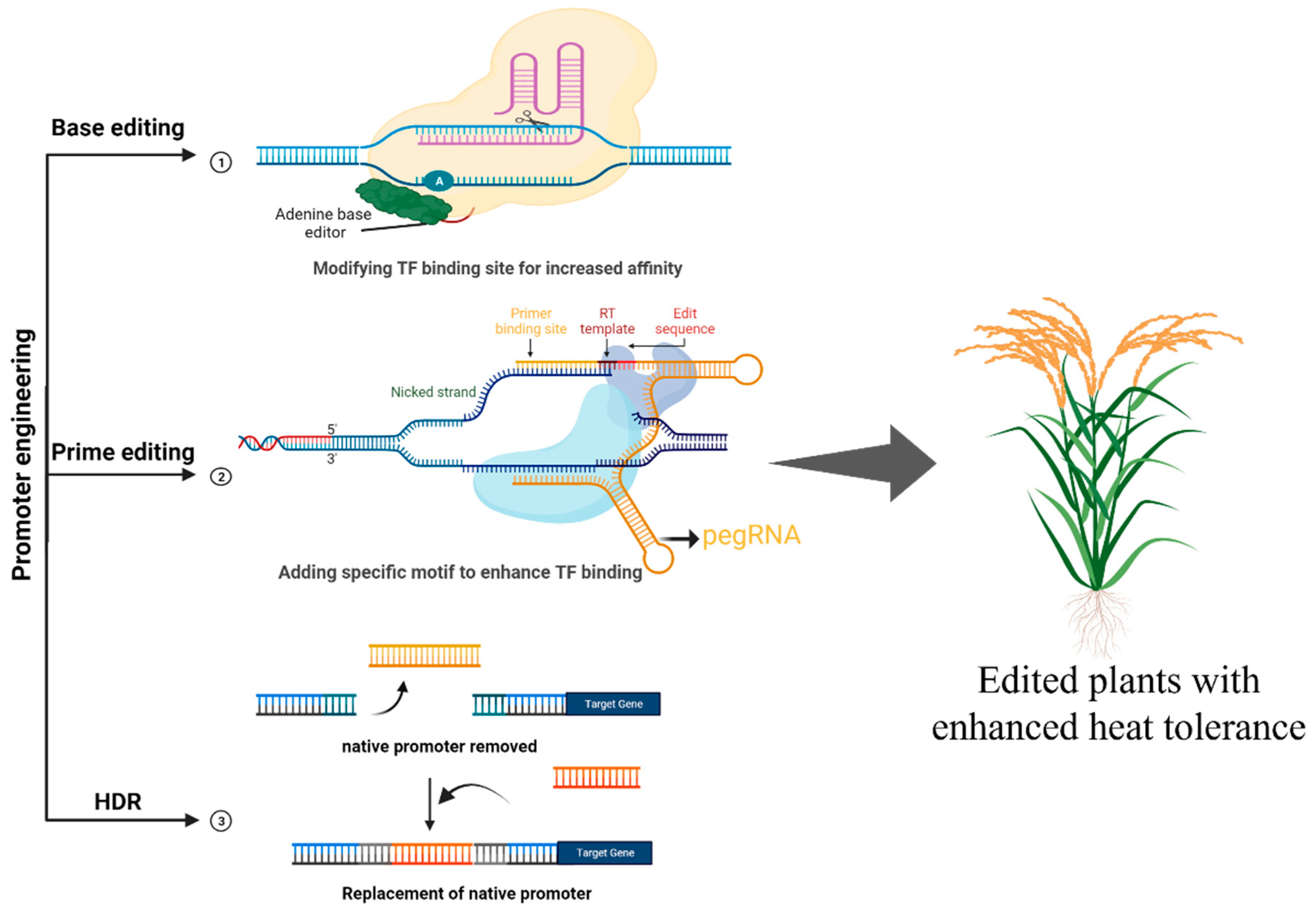 Agronomy 14 00159 g006