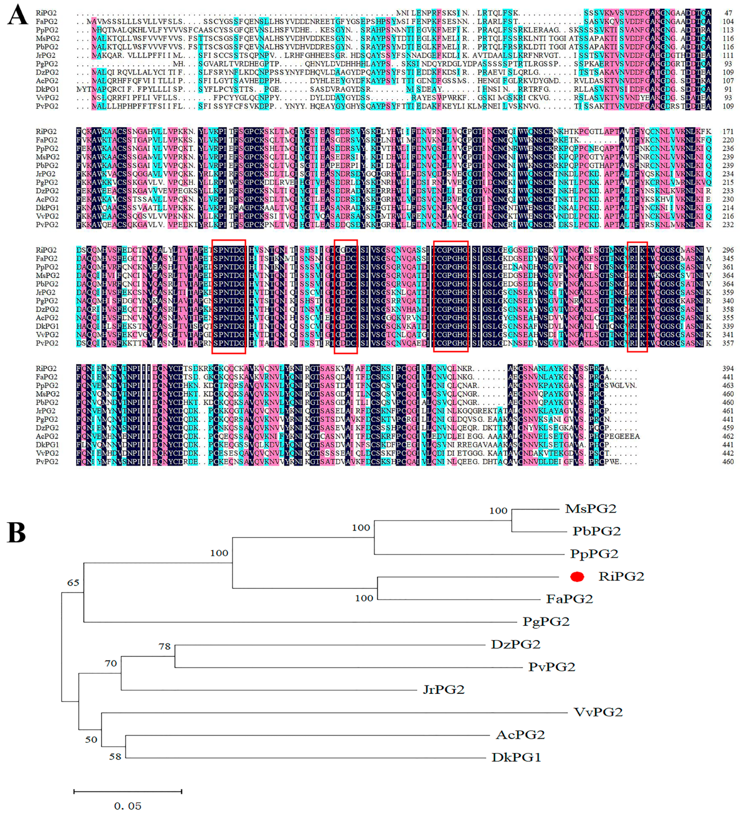 Agronomy 14 00160 g001