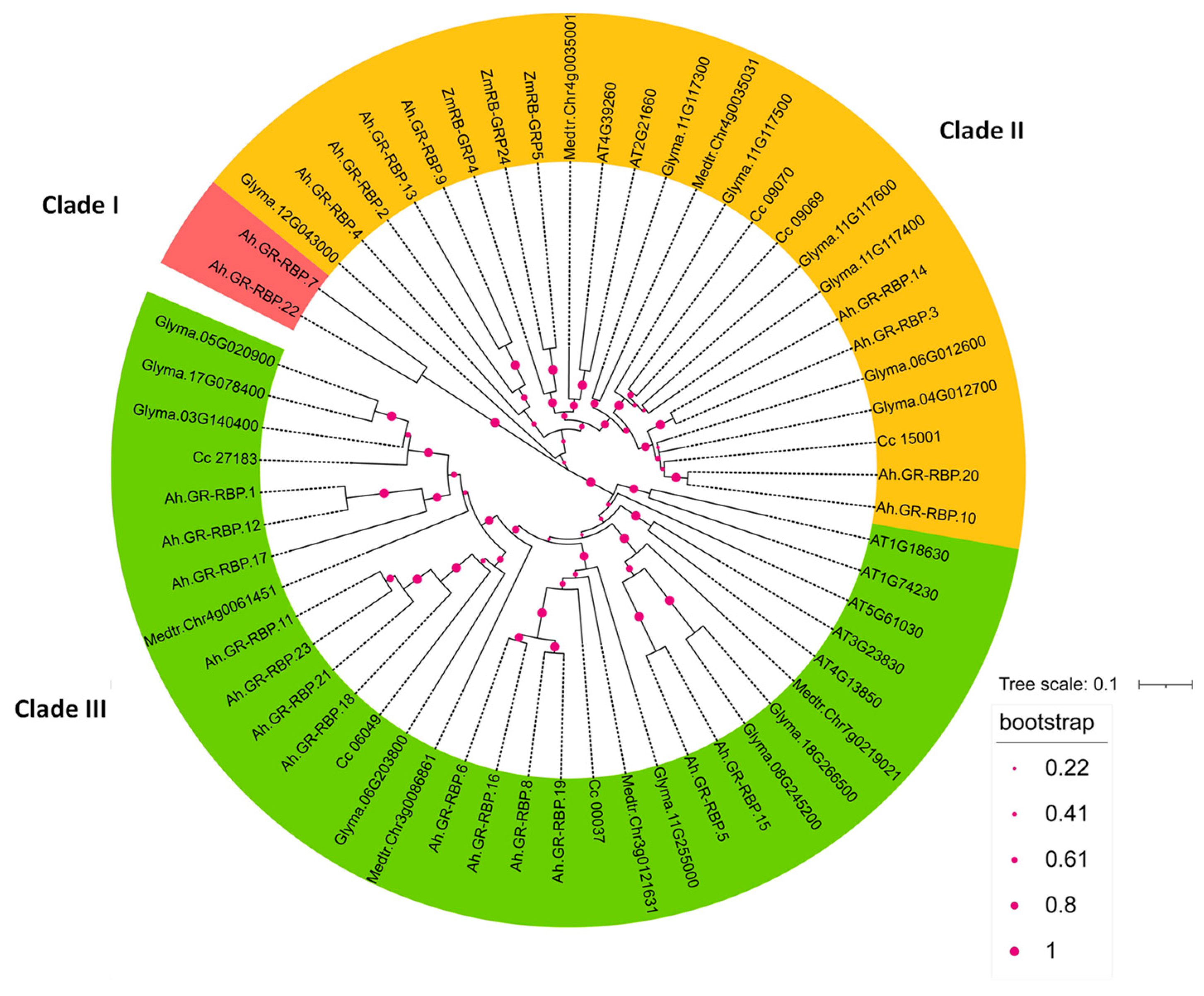 Agronomy 14 00165 g001