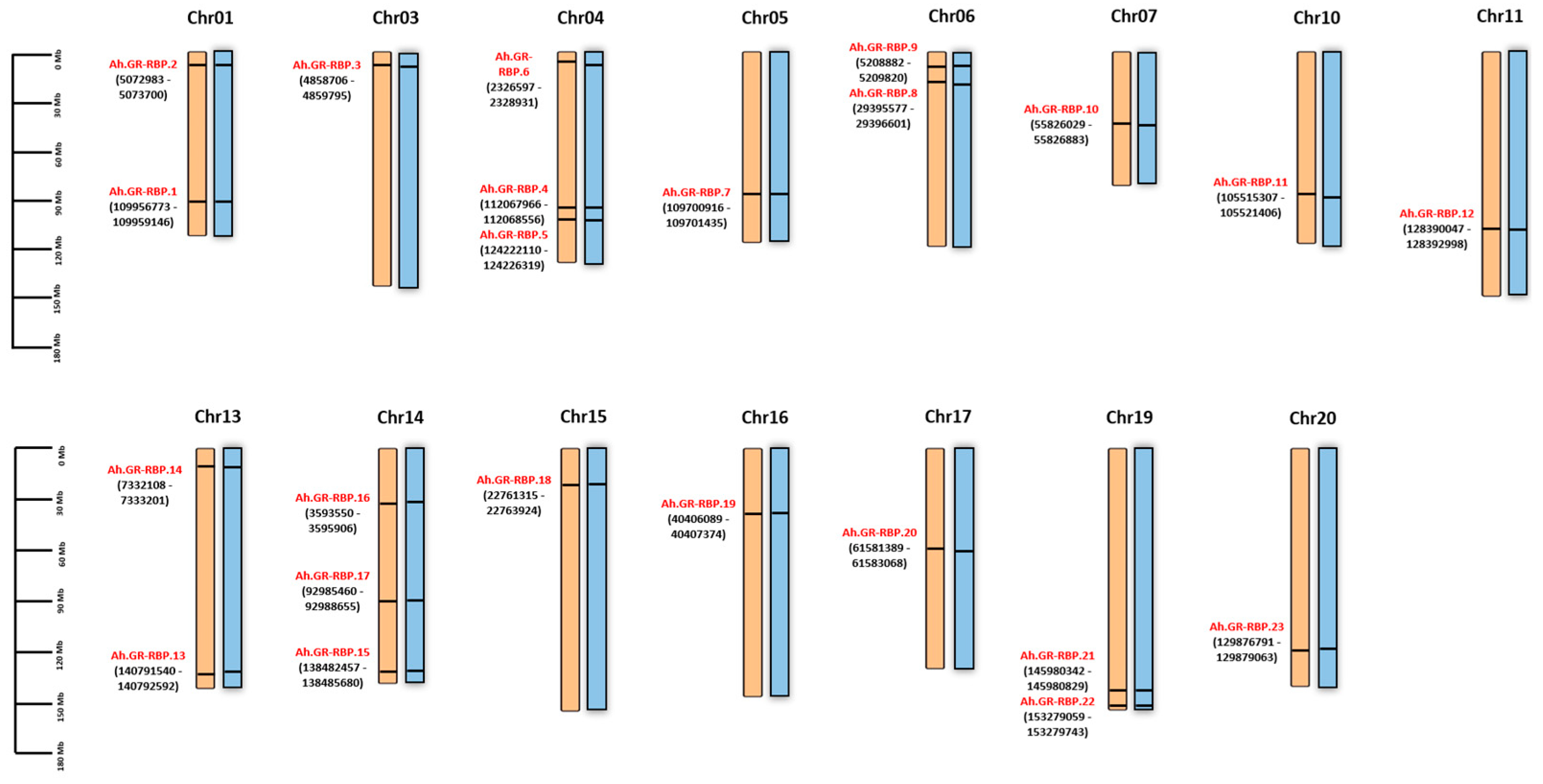 Agronomy 14 00165 g002