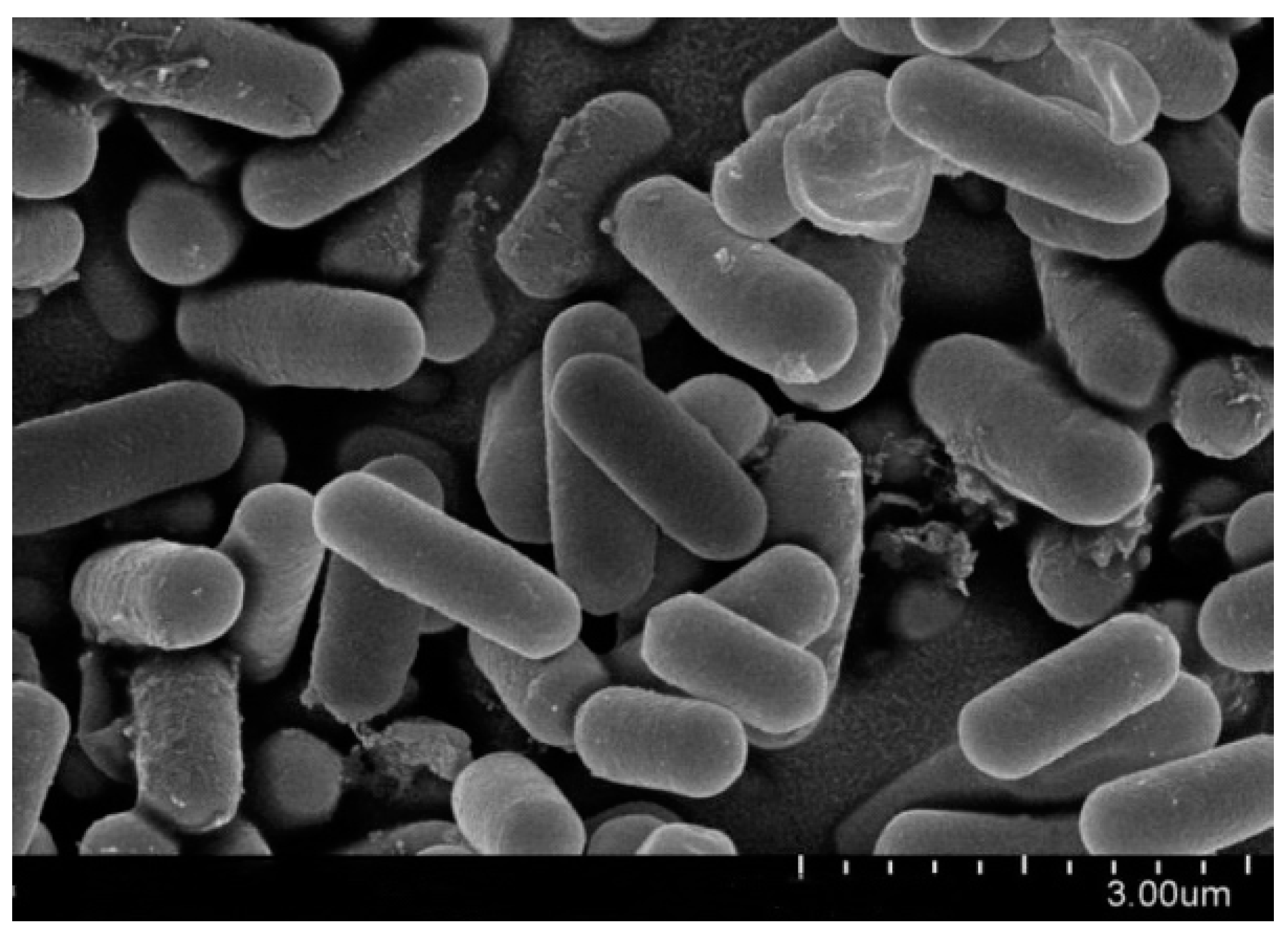 Agronomy 14 00167 g003