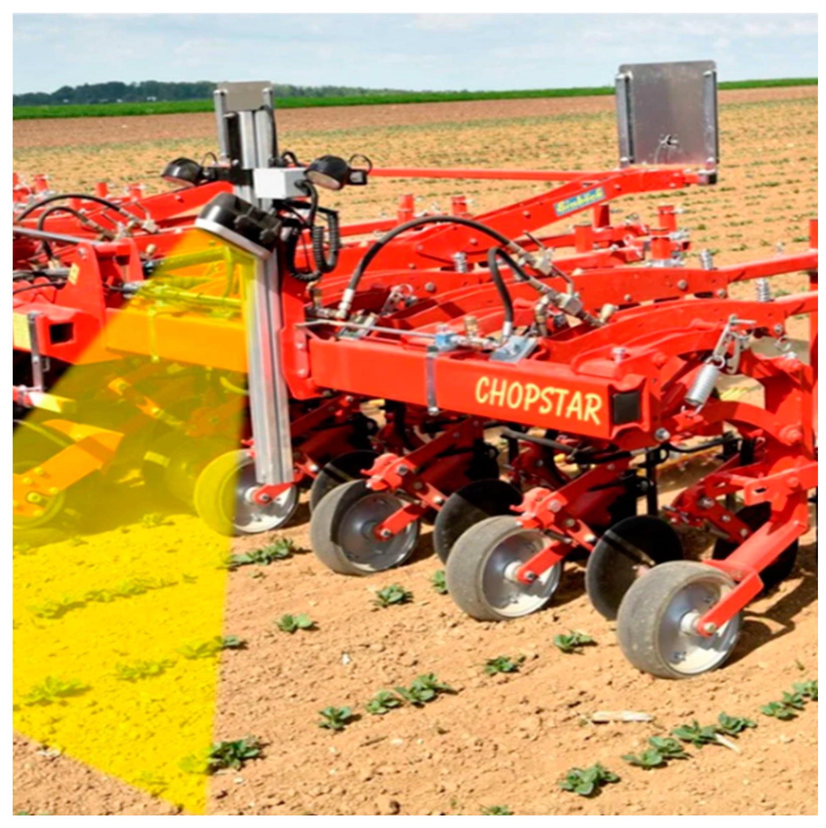 Agronomy 14 00176 g001