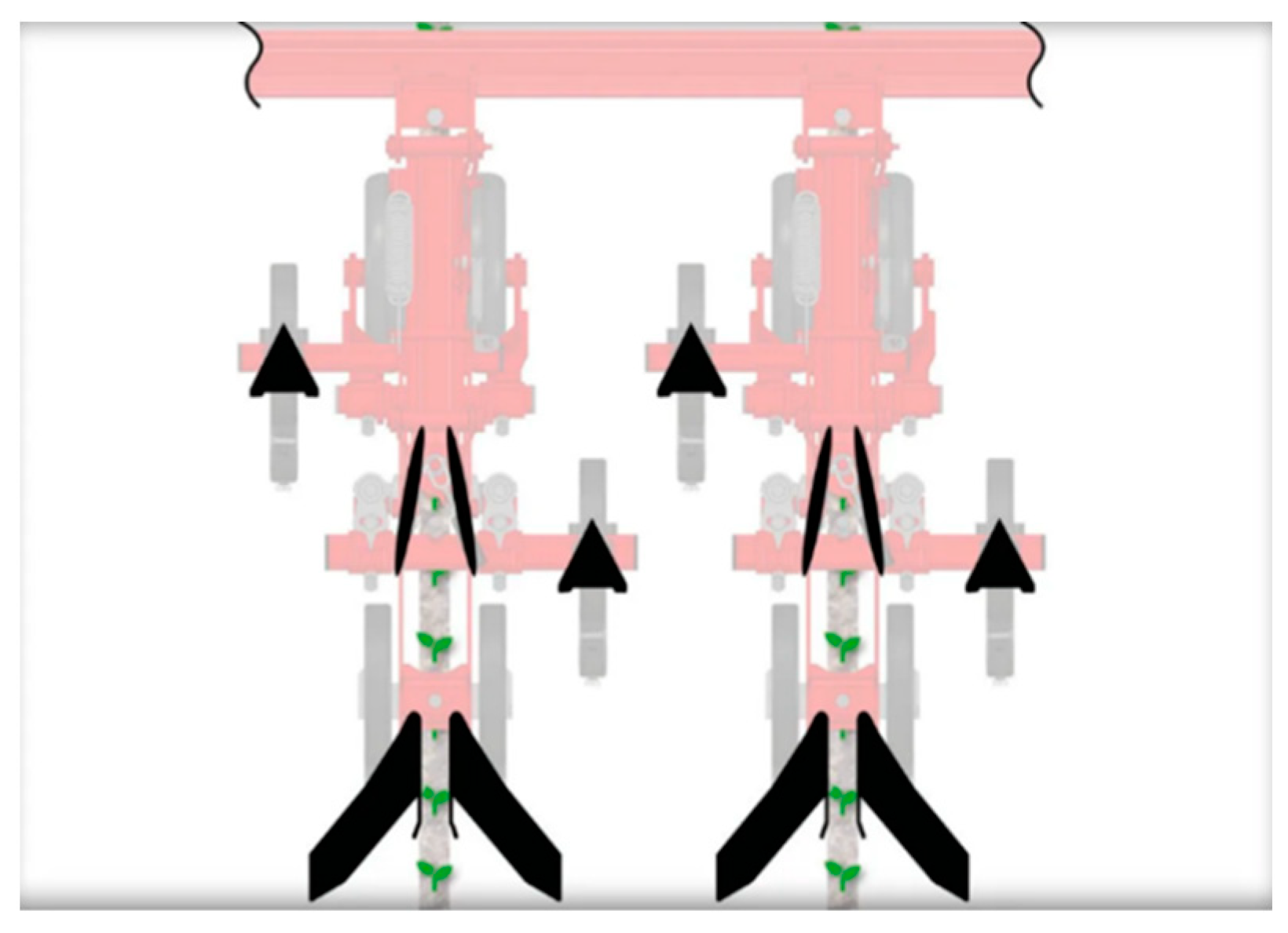 Agronomy 14 00176 g002
