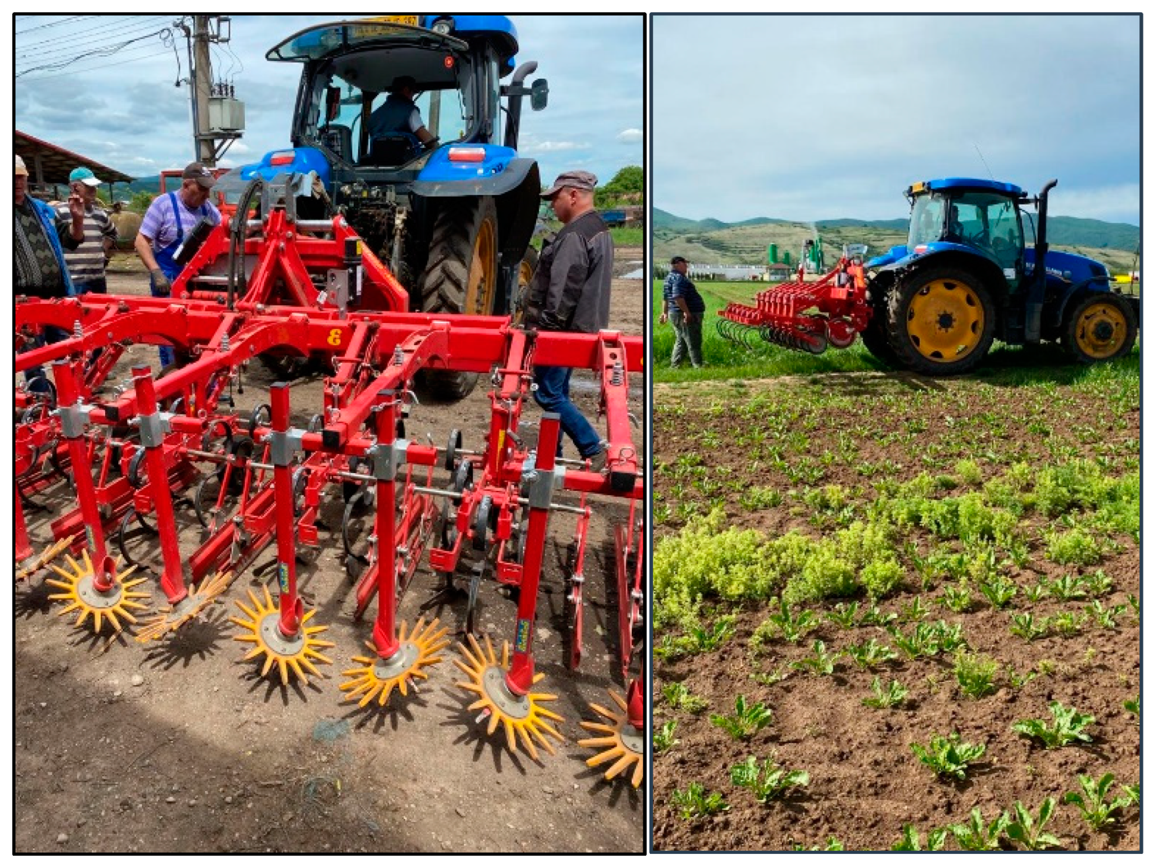 Agronomy 14 00176 g005