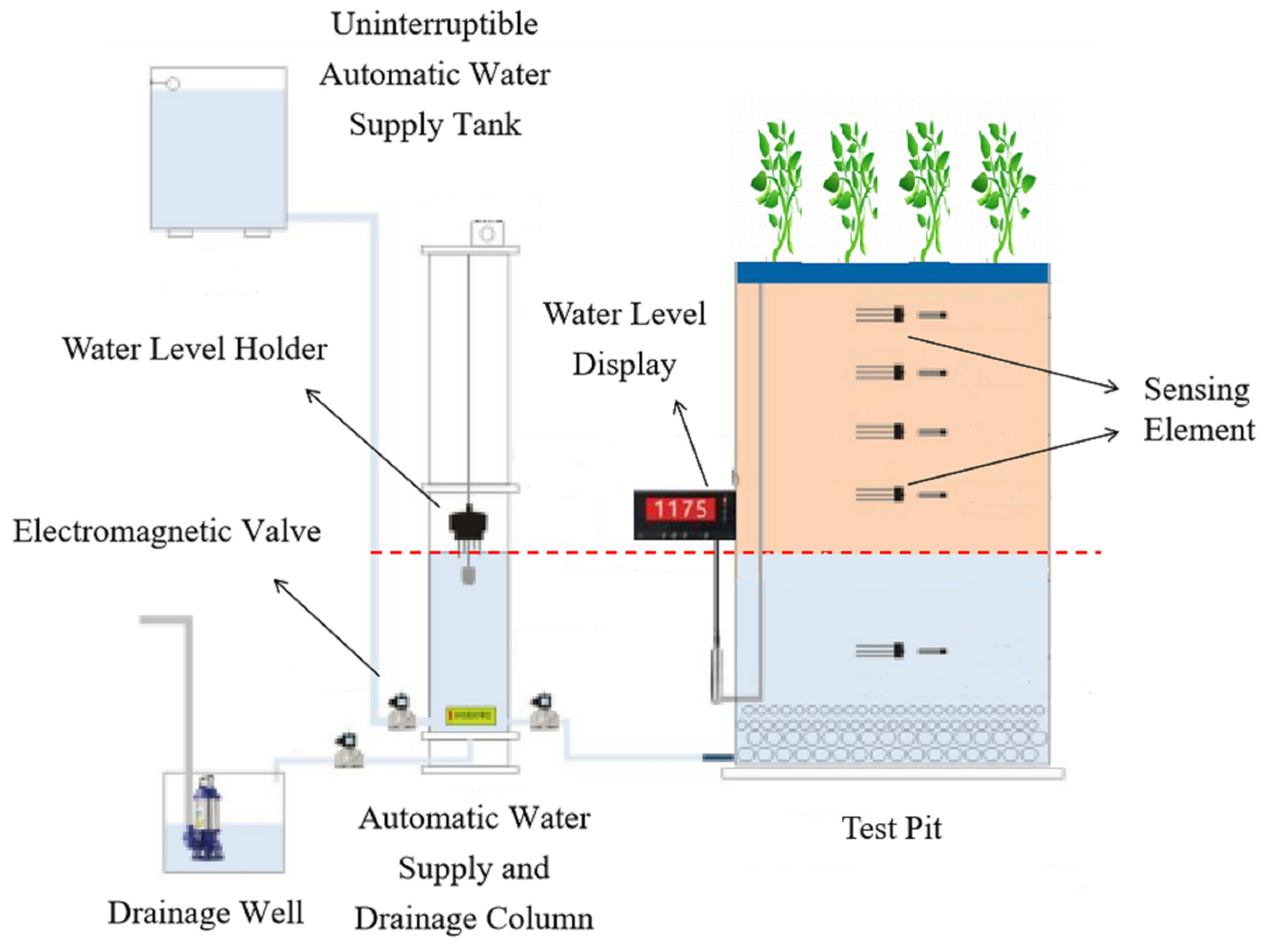 Response of Evapotranspiration, Photosynthetic