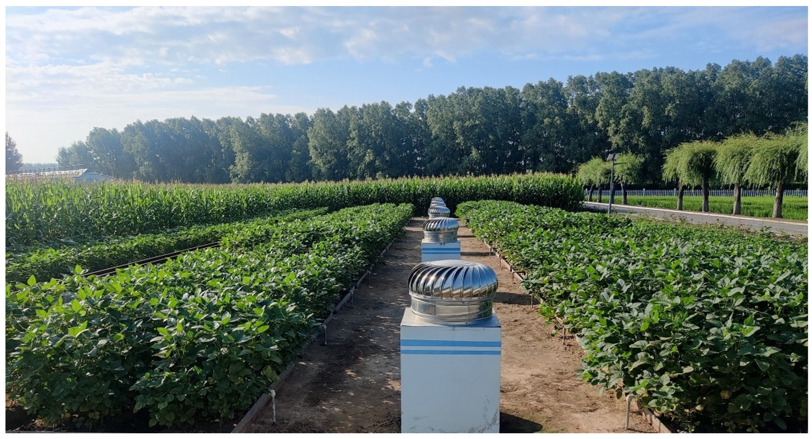 Agronomy 14 00183 g003 Agronomy 14 00183 g003