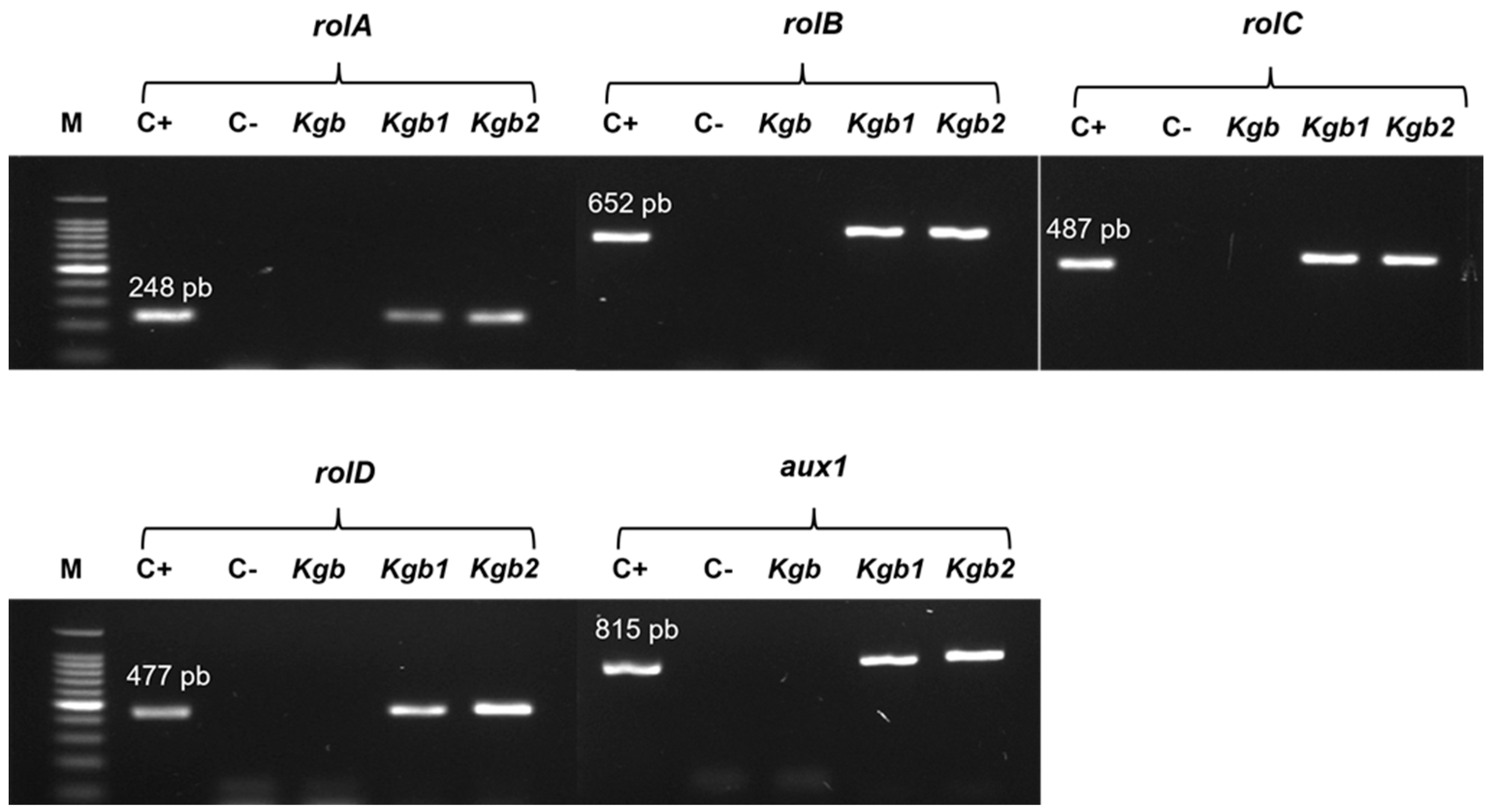 Agronomy 14 00189 g003 Agronomy 14 00189 g003