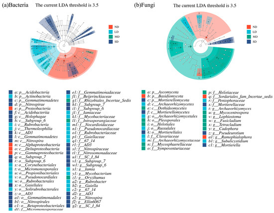 Microbial Community Response to Alpine Meadow Degradation