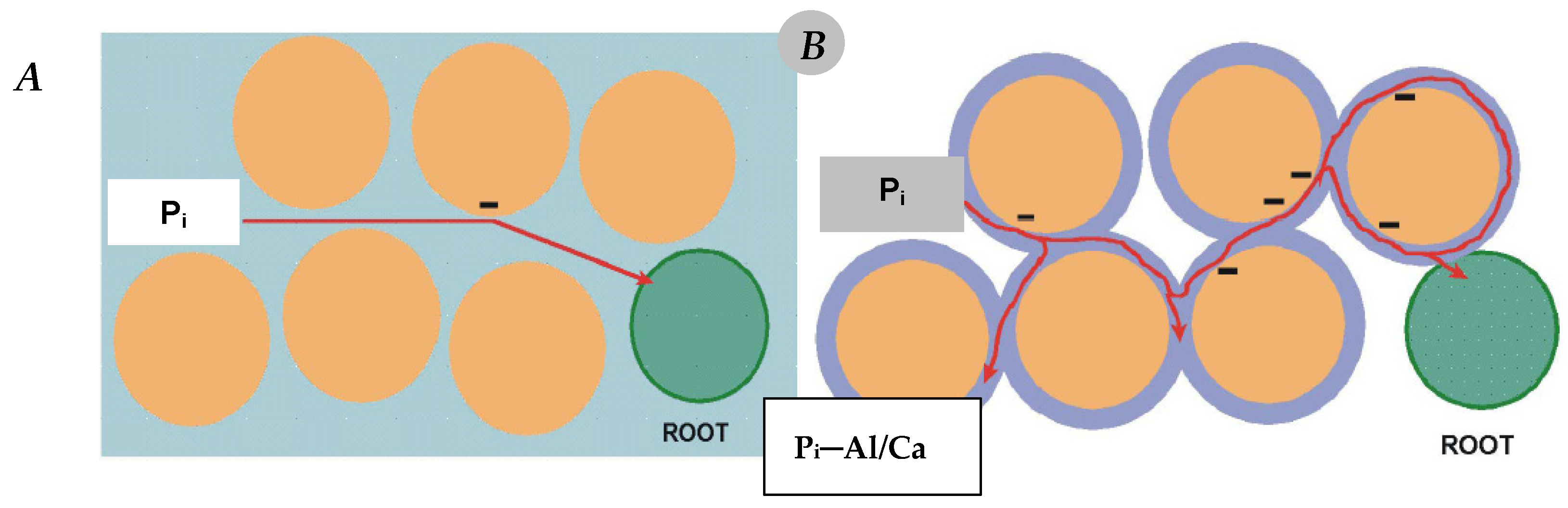 Agronomy 14 00200 g001