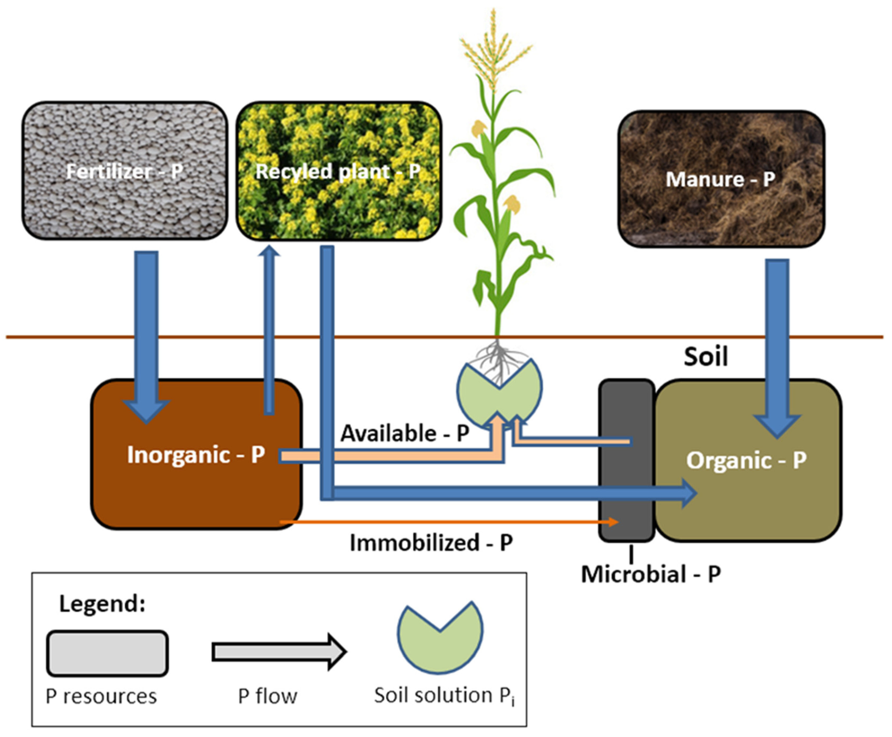 Agronomy 14 00200 g008