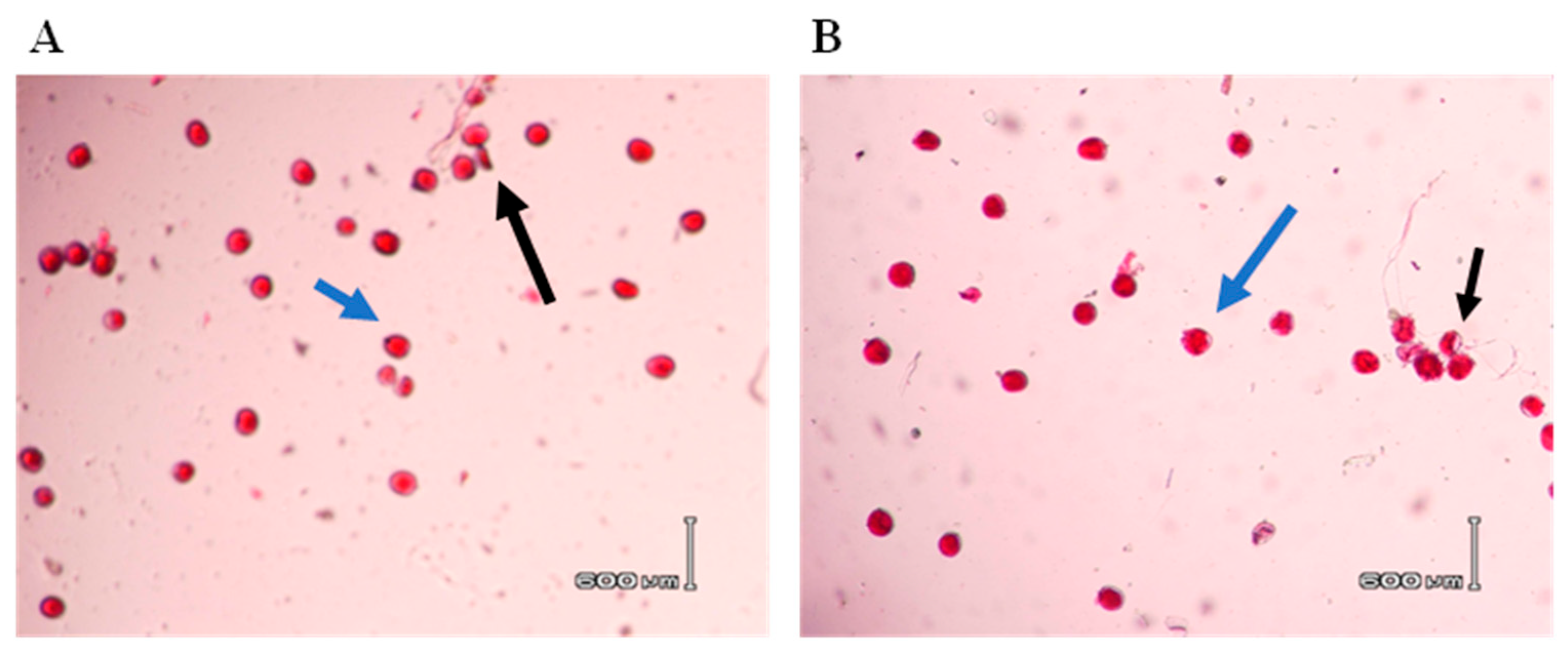 Agronomy 14 00201 g002 Agronomy 14 00201 g002