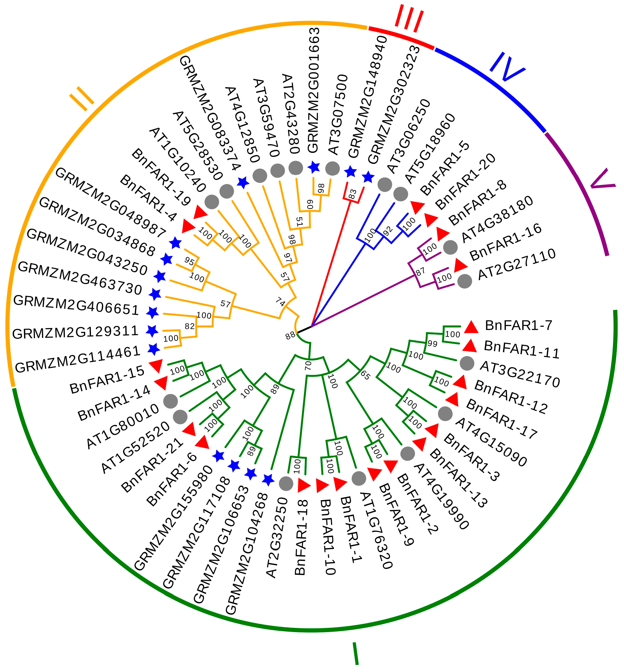 Agronomy 14 00202 g001