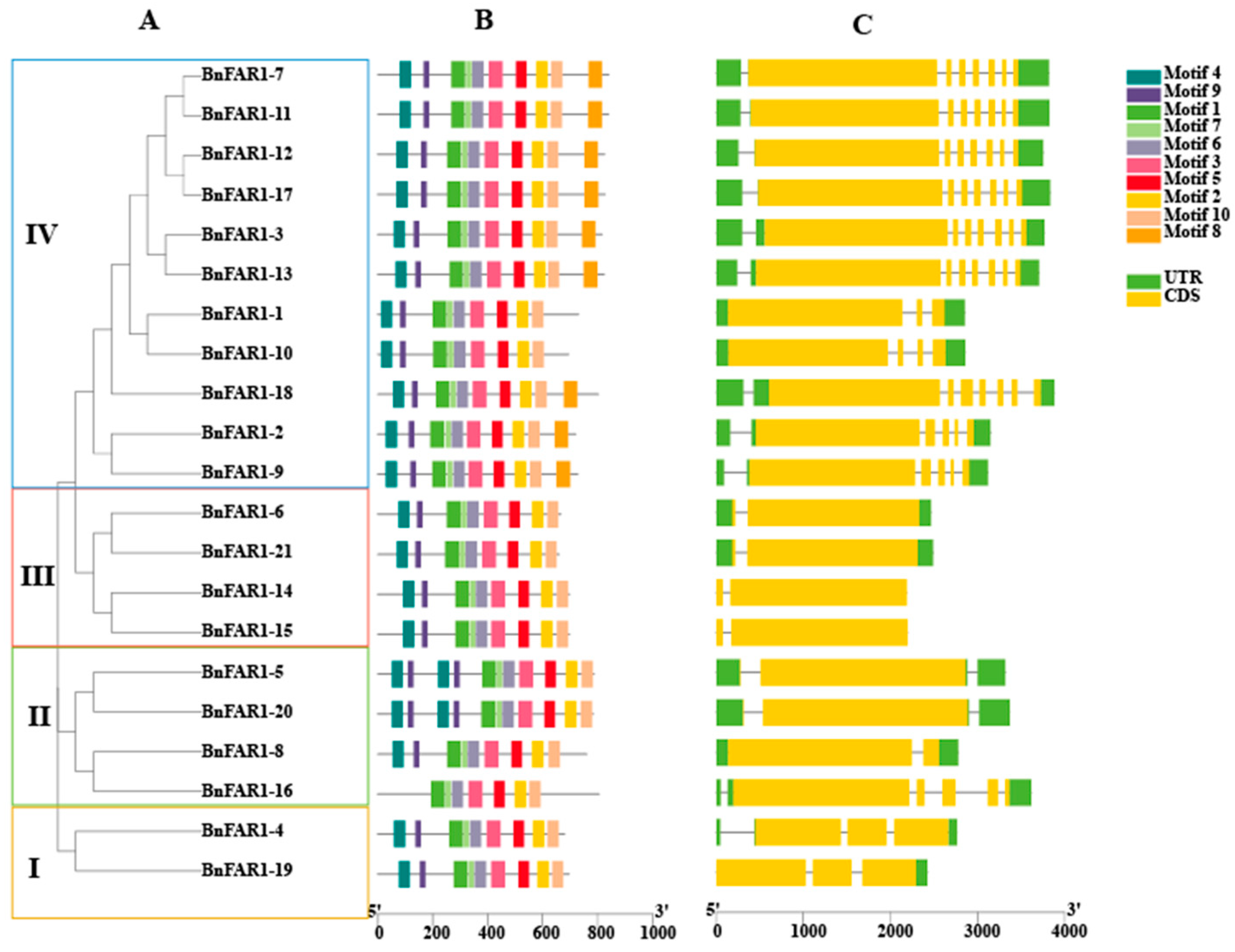 Agronomy 14 00202 g002