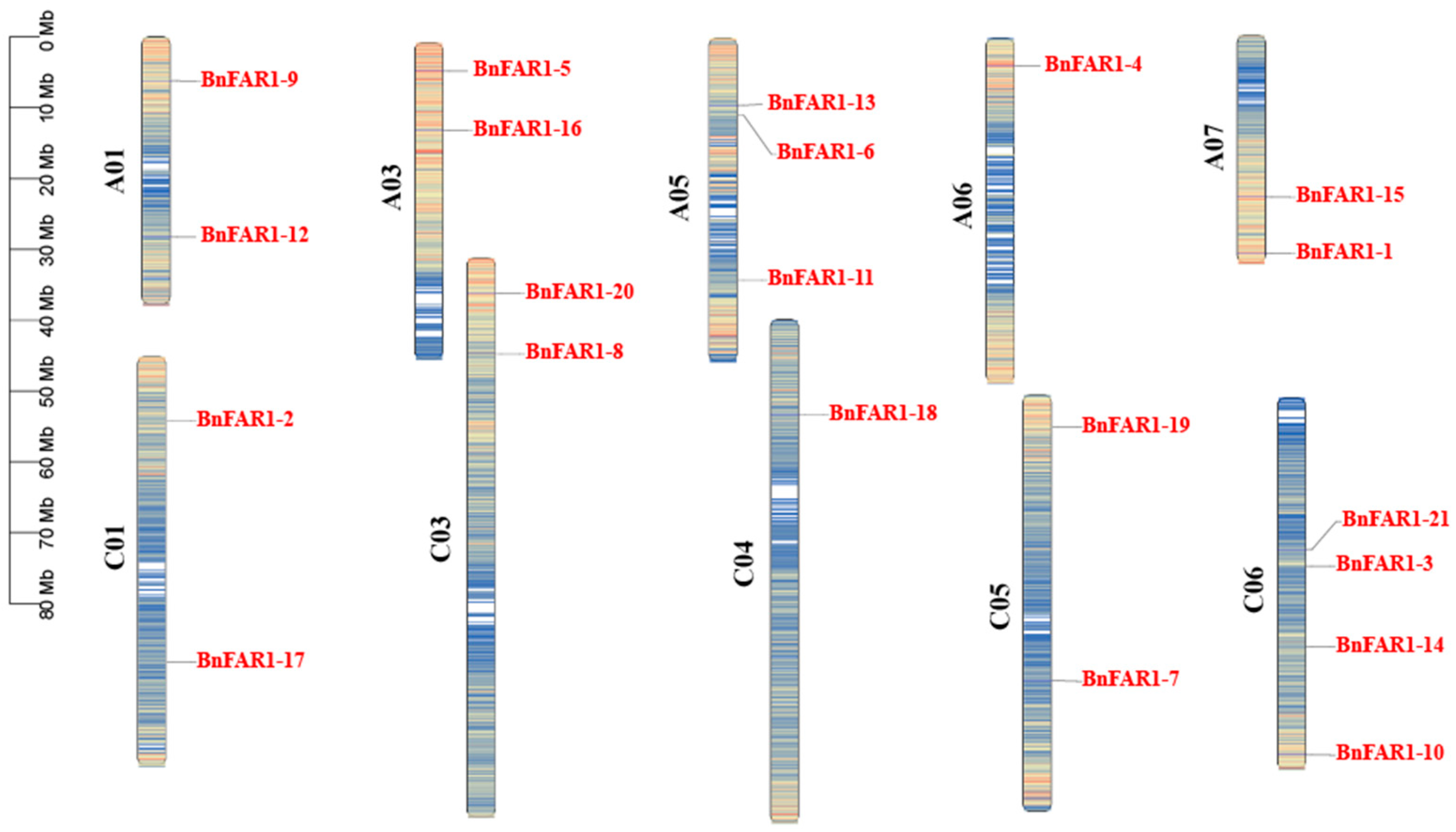 Agronomy 14 00202 g004
